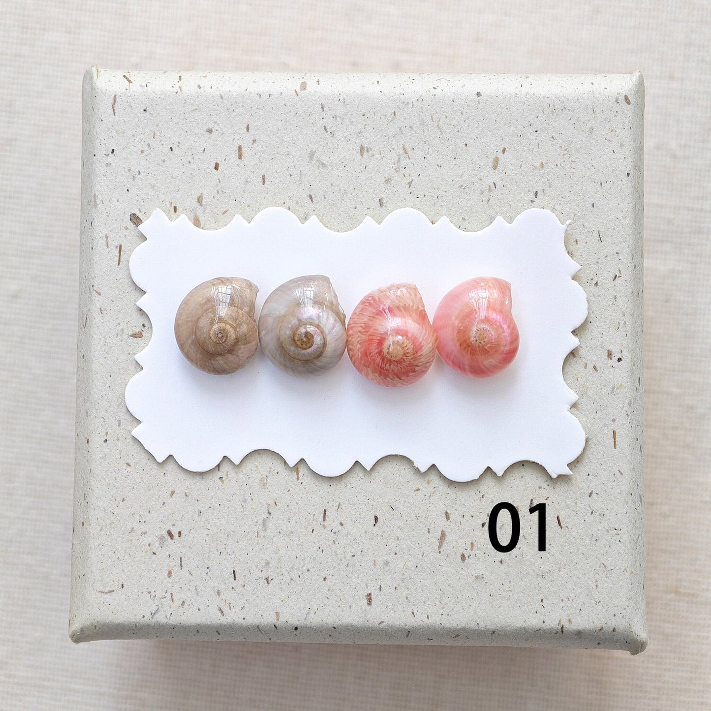 Rainbow Shell Earrings Set