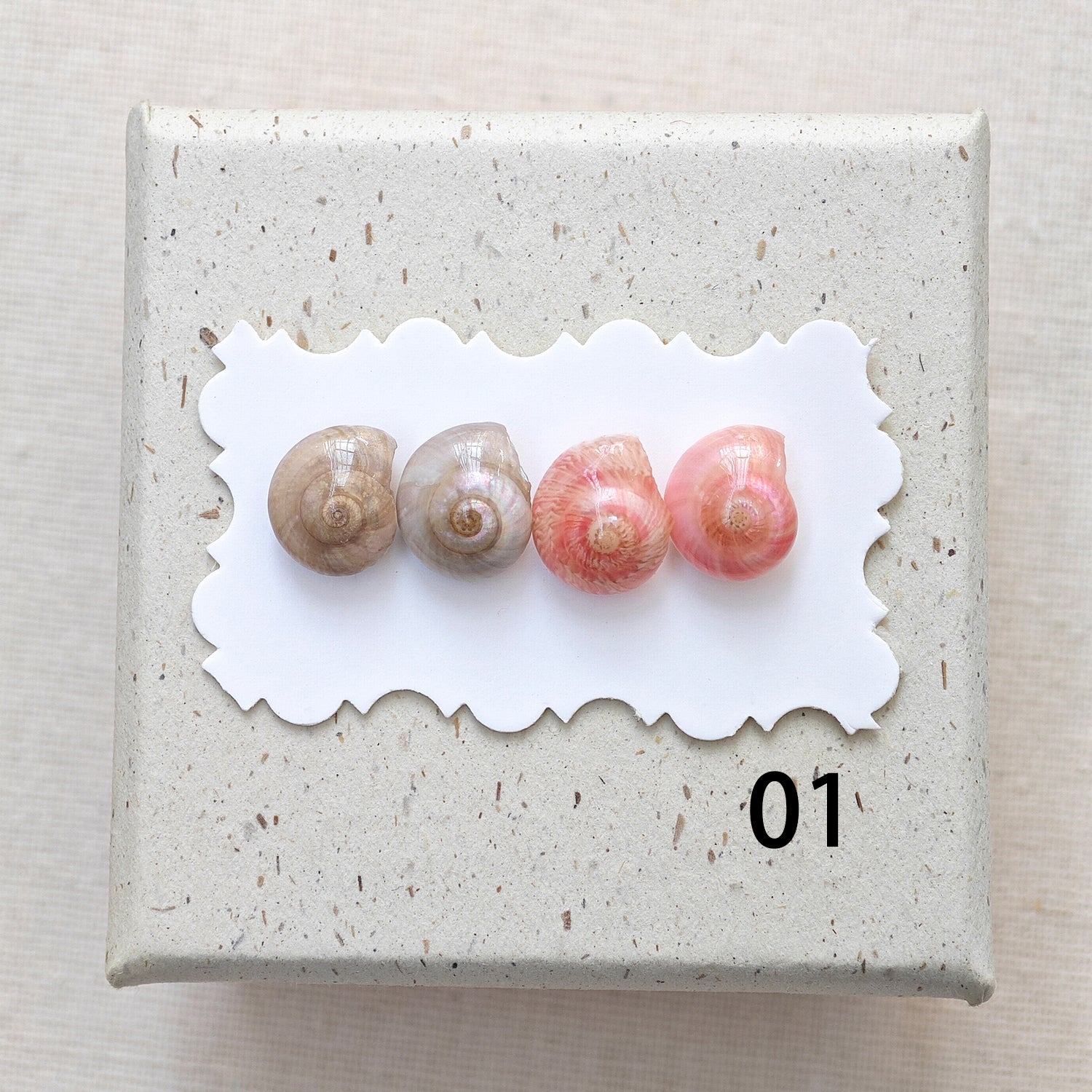 Rainbow Shell Earrings Set