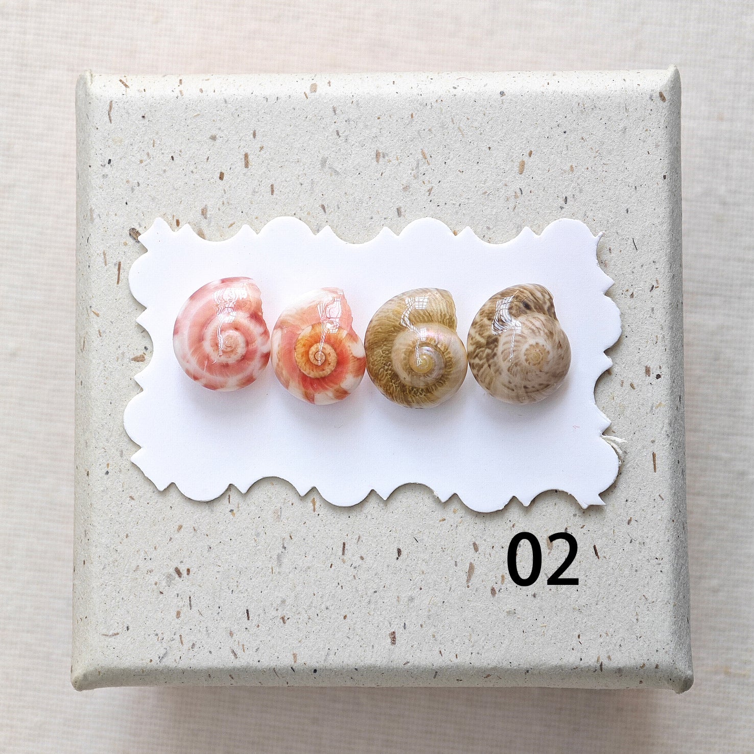 Rainbow Shell Earrings Set