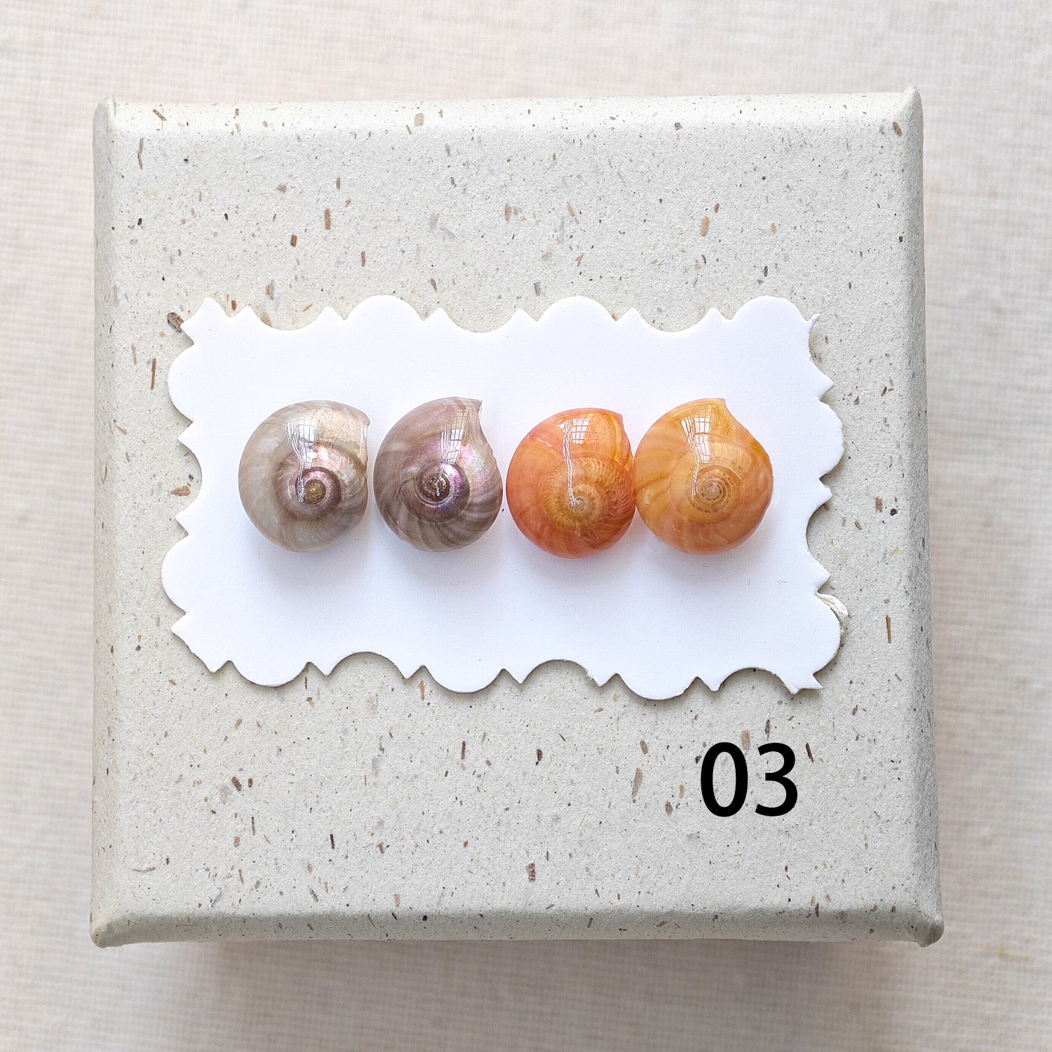 Rainbow Shell Earrings Set