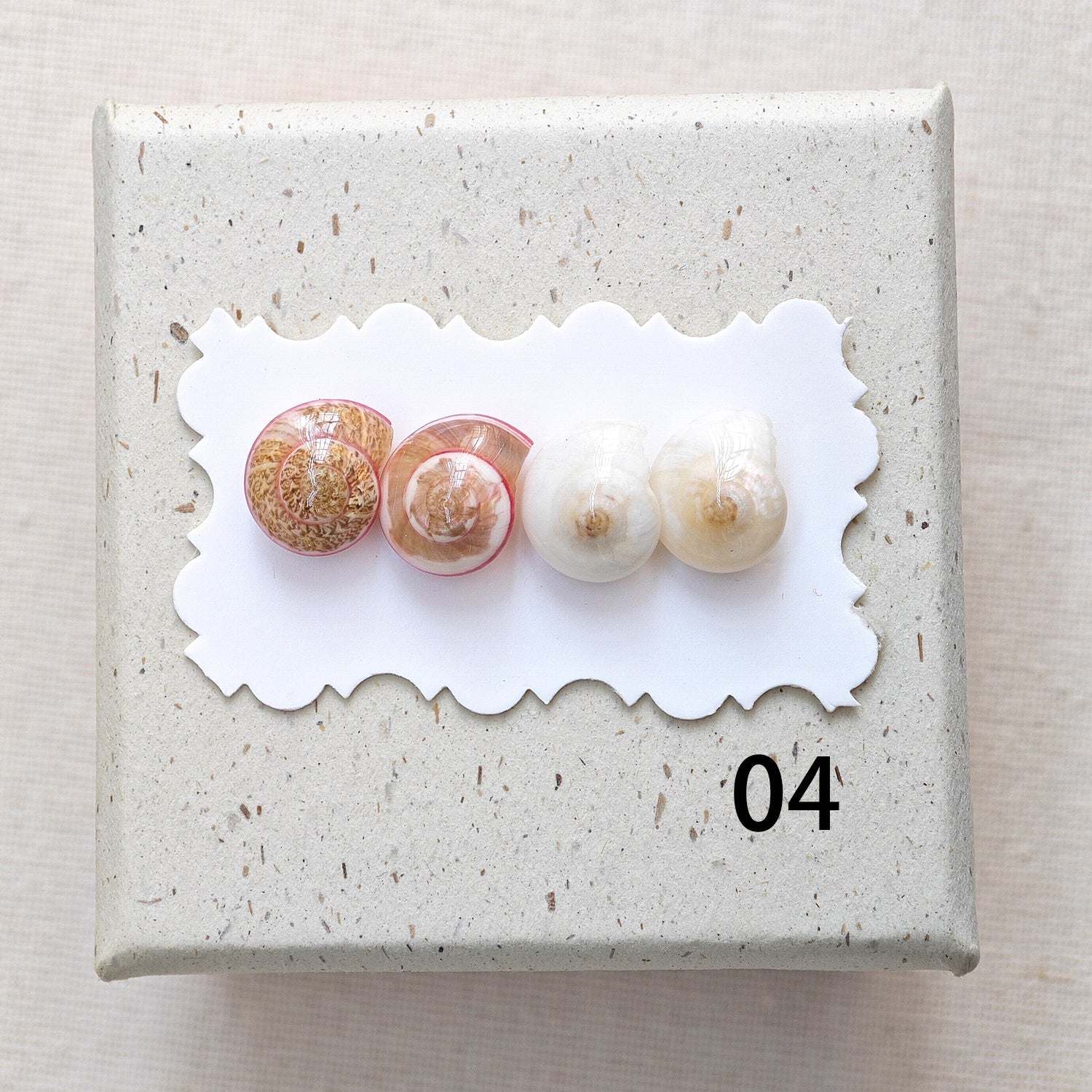 Rainbow Shell Earrings Set