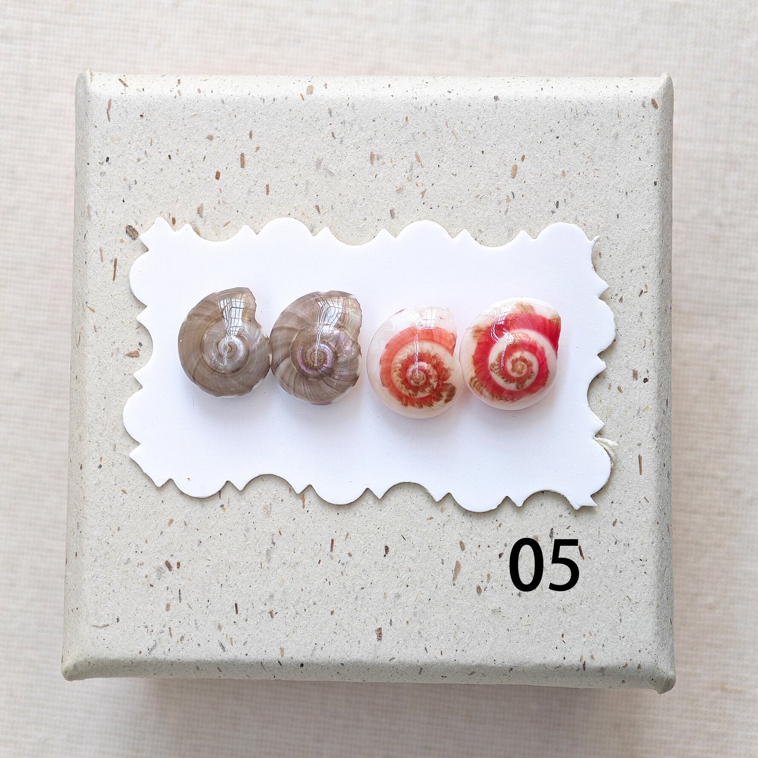 Rainbow Shell Earrings Set