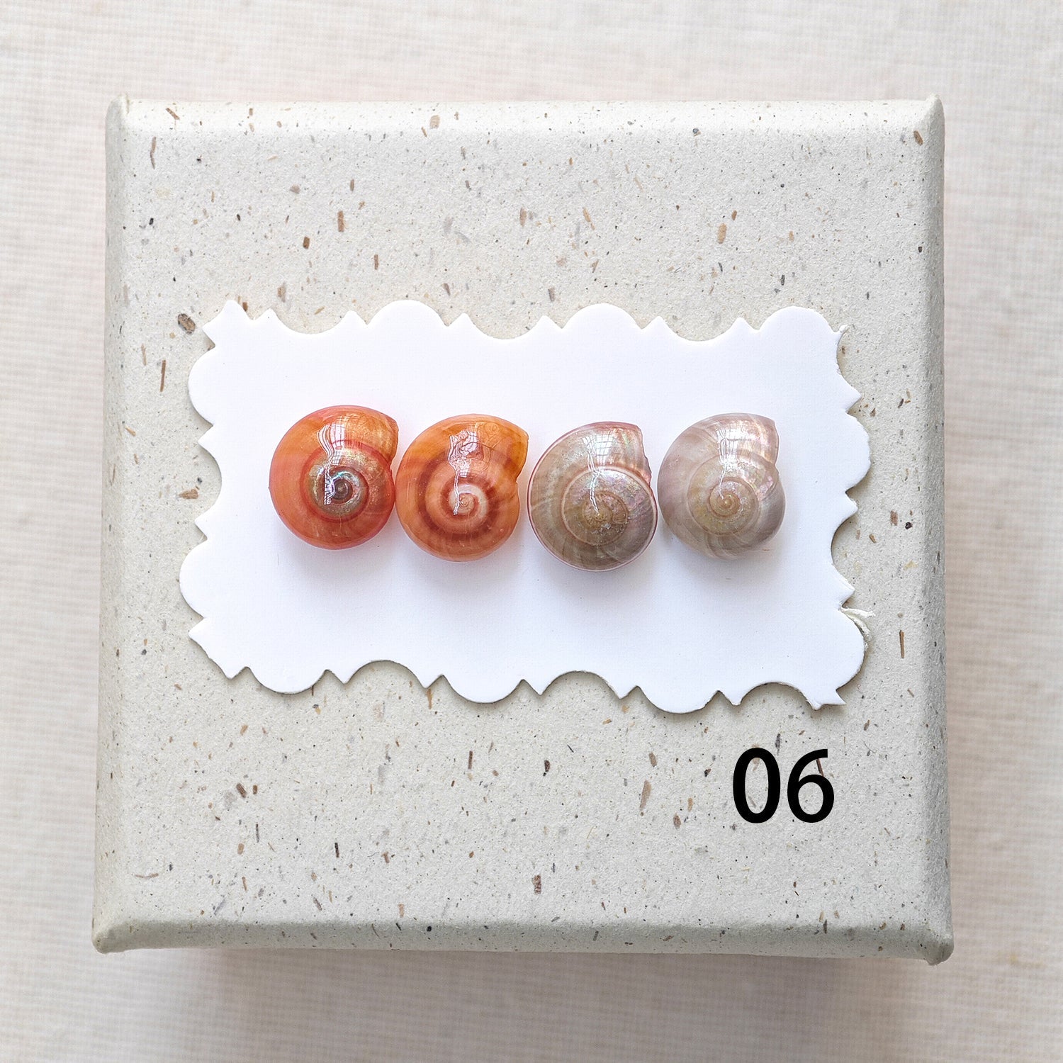 Rainbow Shell Earrings Set