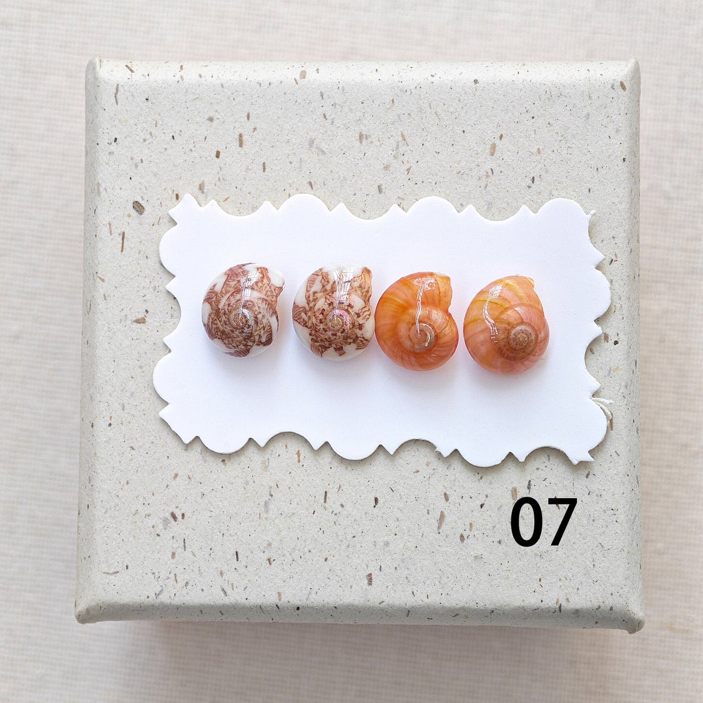 Rainbow Shell Earrings Set