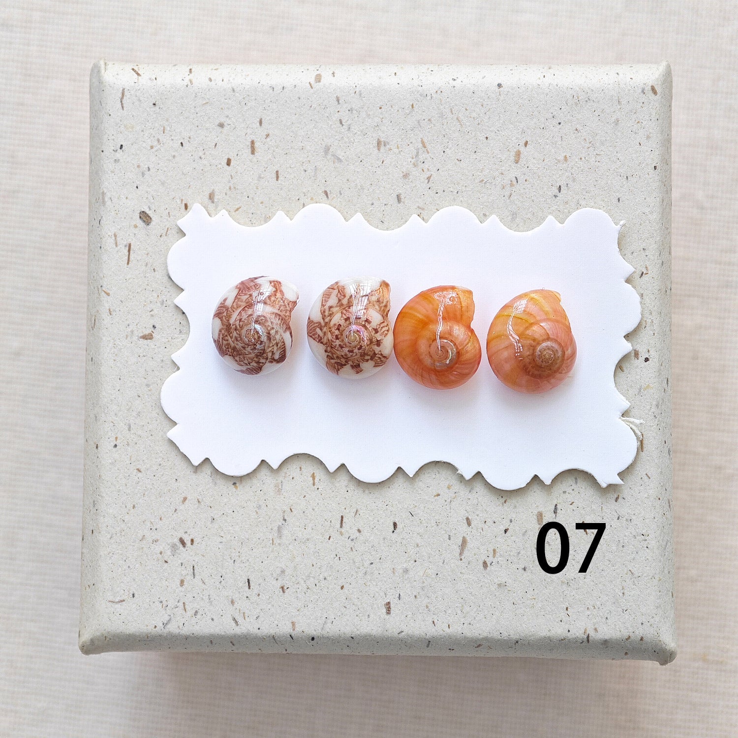 Rainbow Shell Earrings Set