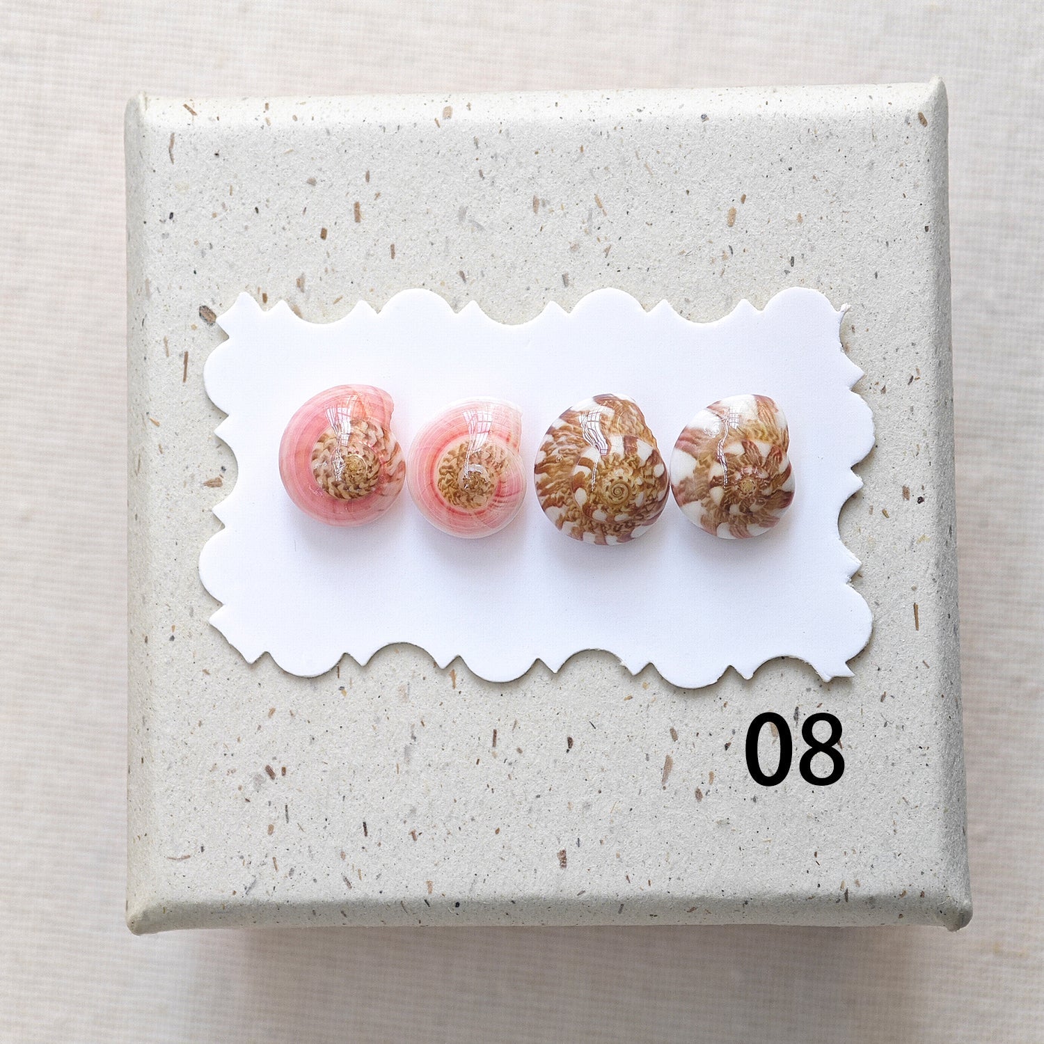 Rainbow Shell Earrings Set