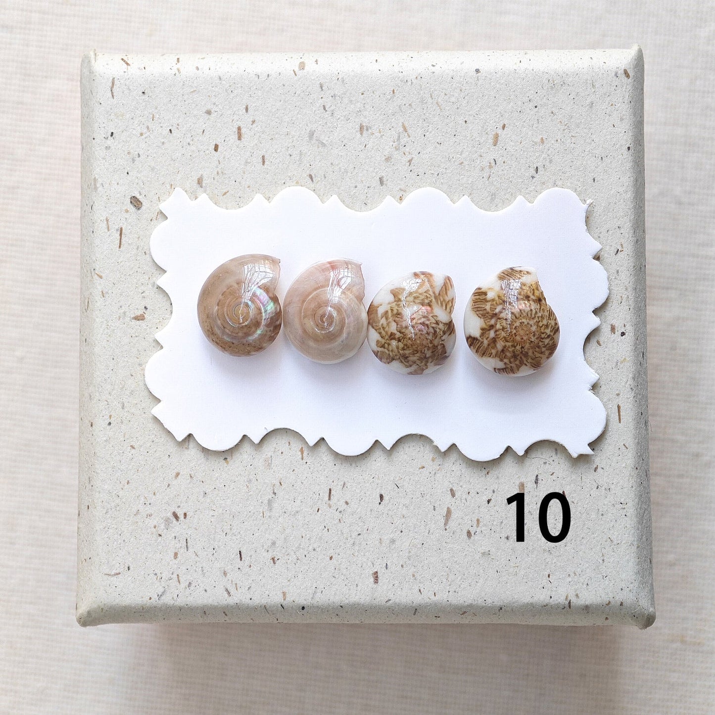 Rainbow Shell Earrings Set