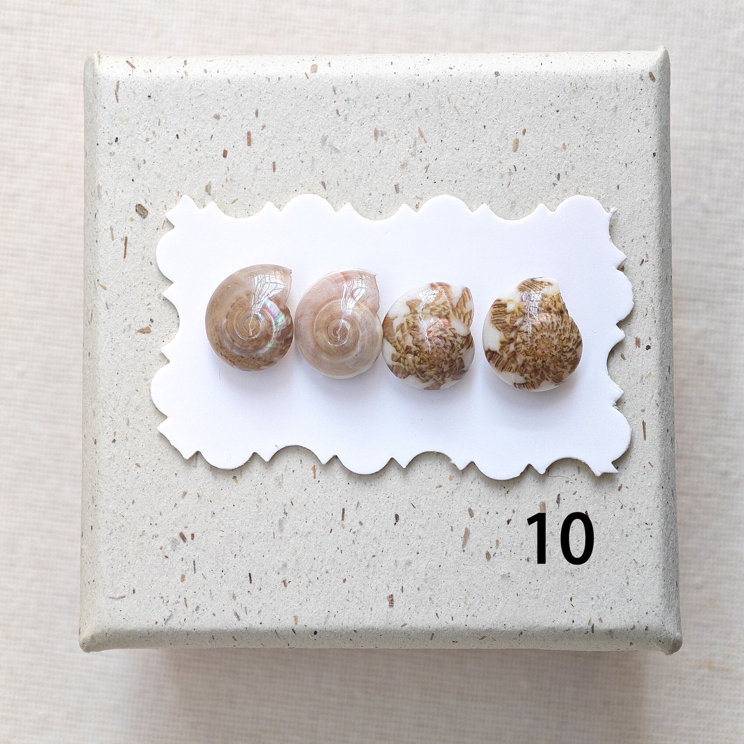 Rainbow Shell Earrings Set