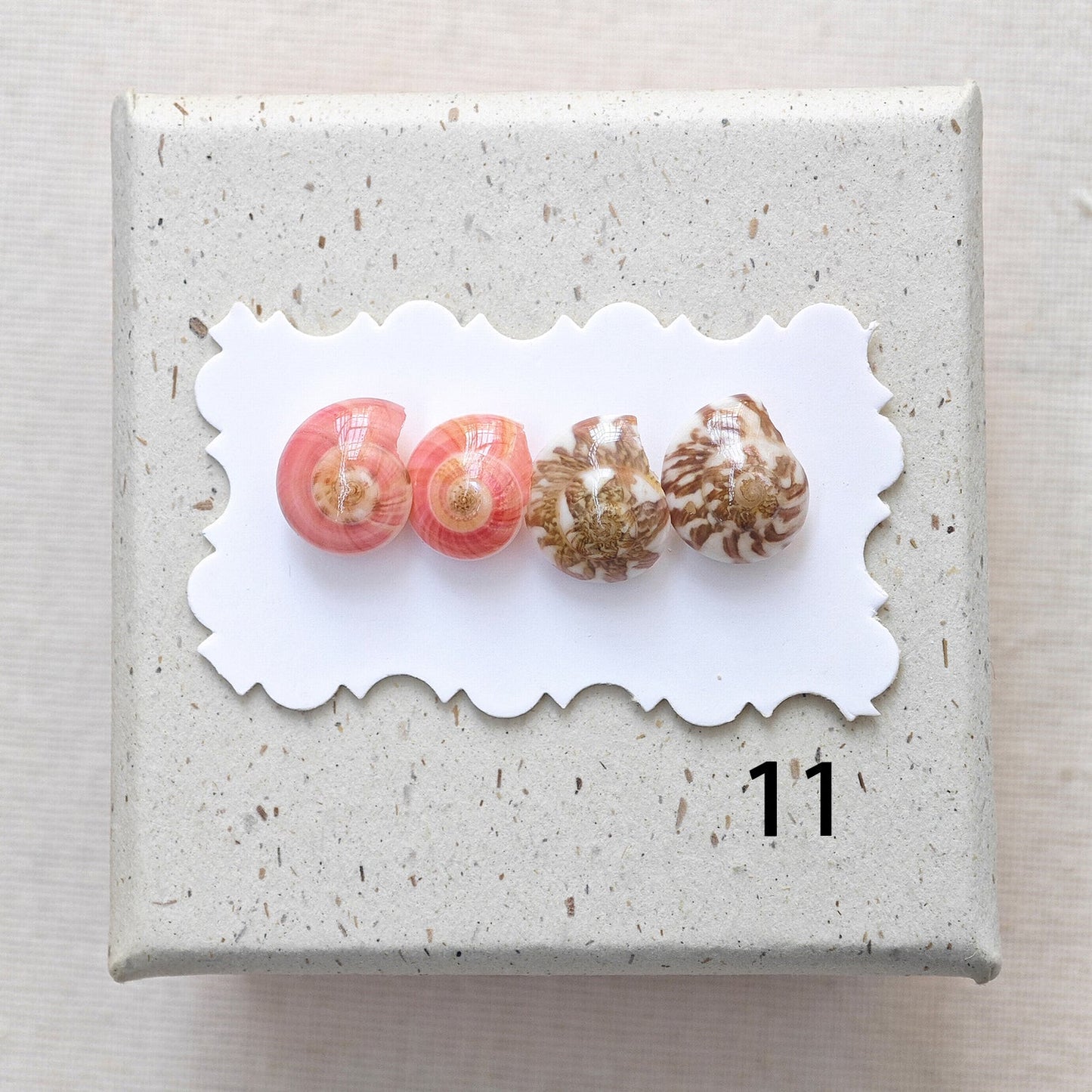 Rainbow Shell Earrings Set