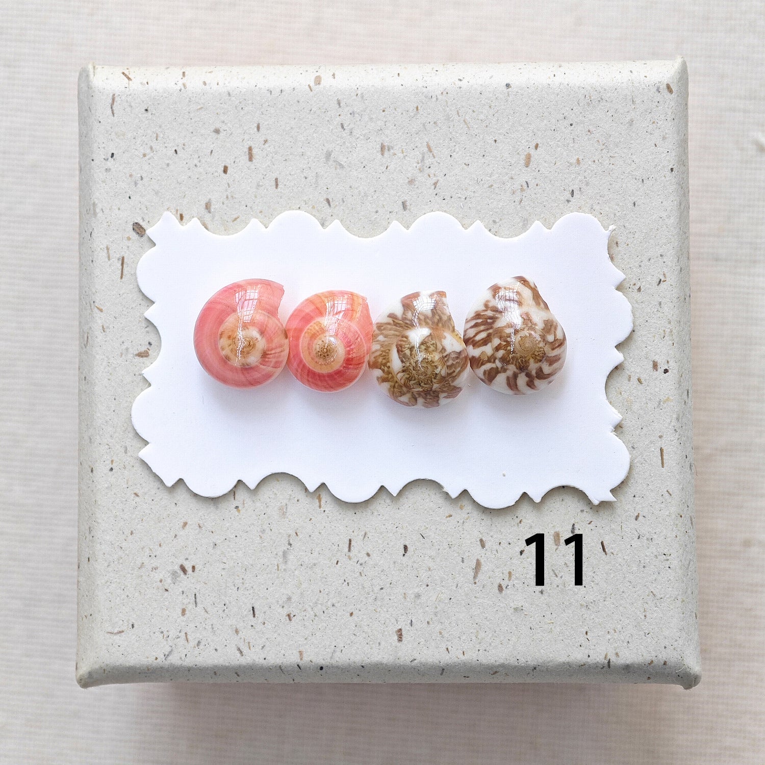 Rainbow Shell Earrings Set