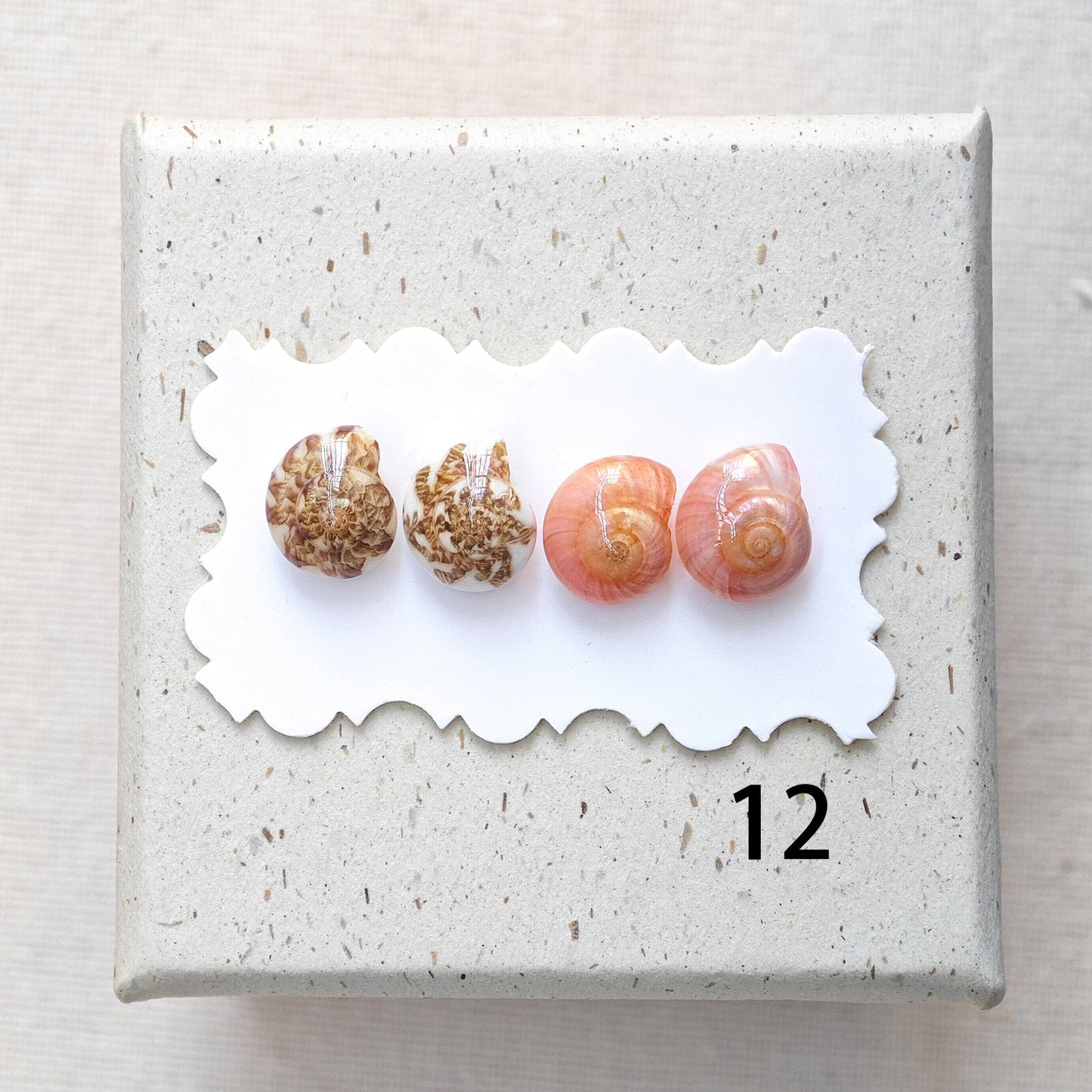 Rainbow Shell Earrings Set