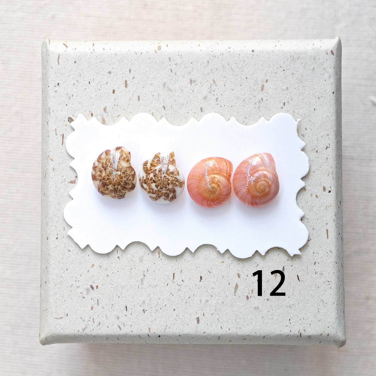 Rainbow Shell Earrings Set