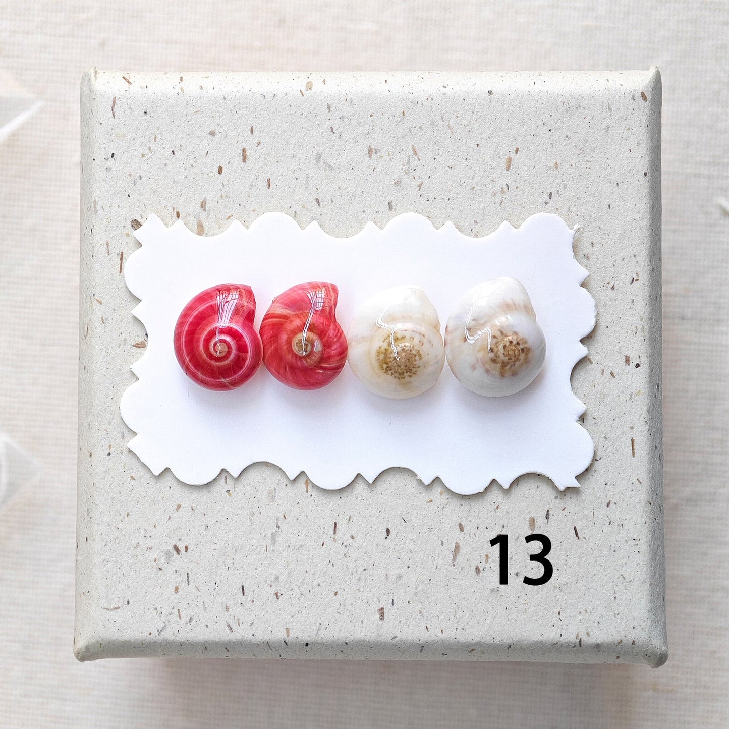Rainbow Shell Earrings Set