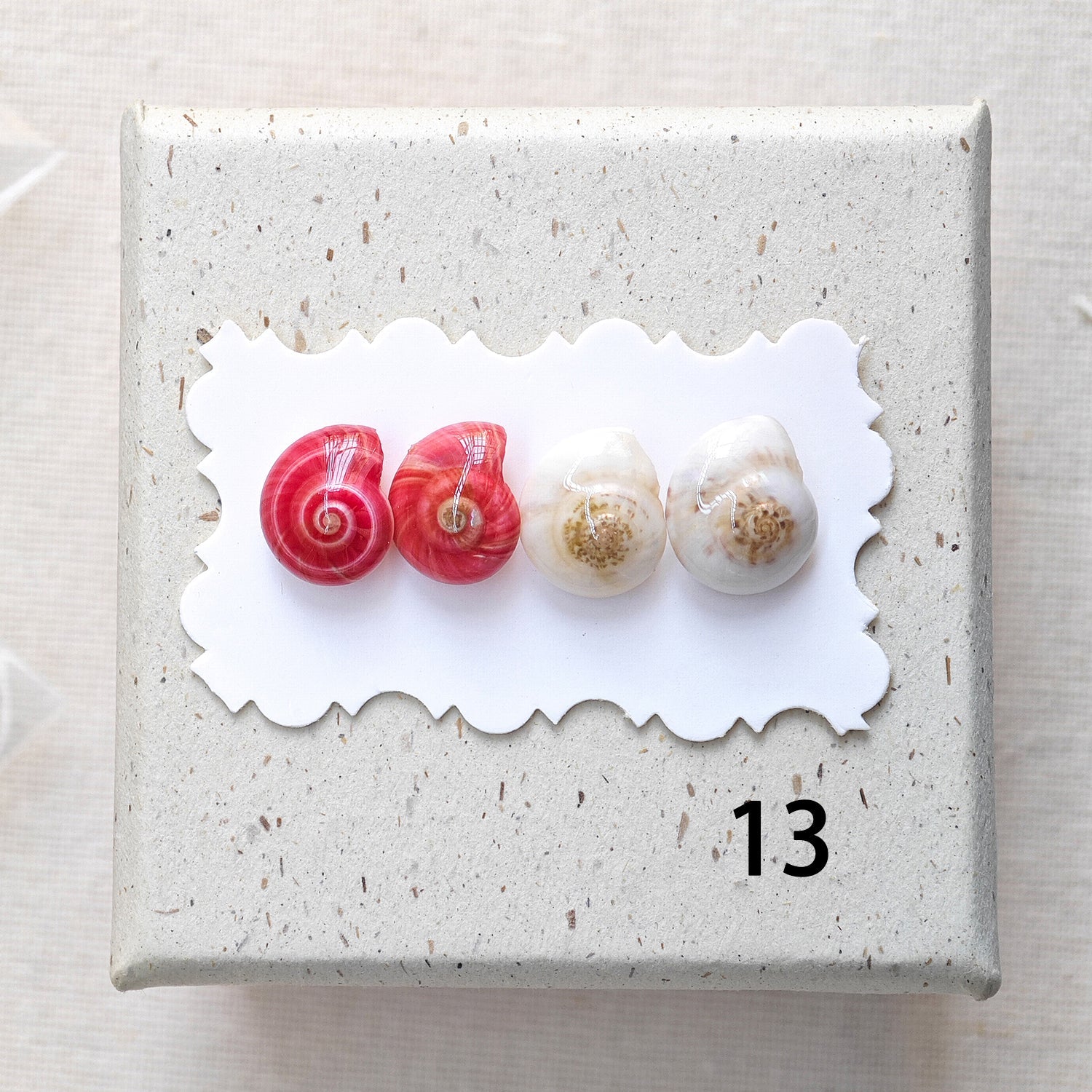 Rainbow Shell Earrings Set