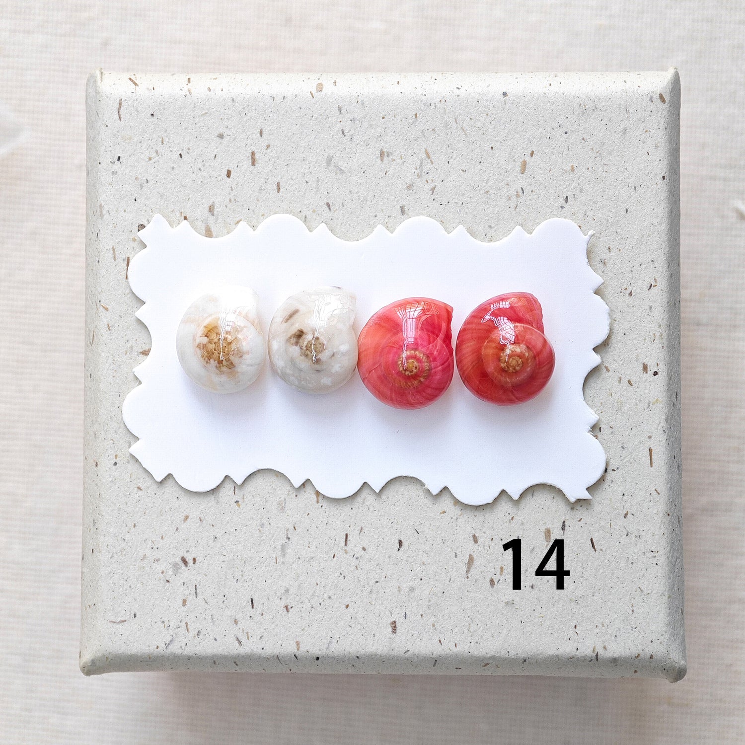 Rainbow Shell Earrings Set