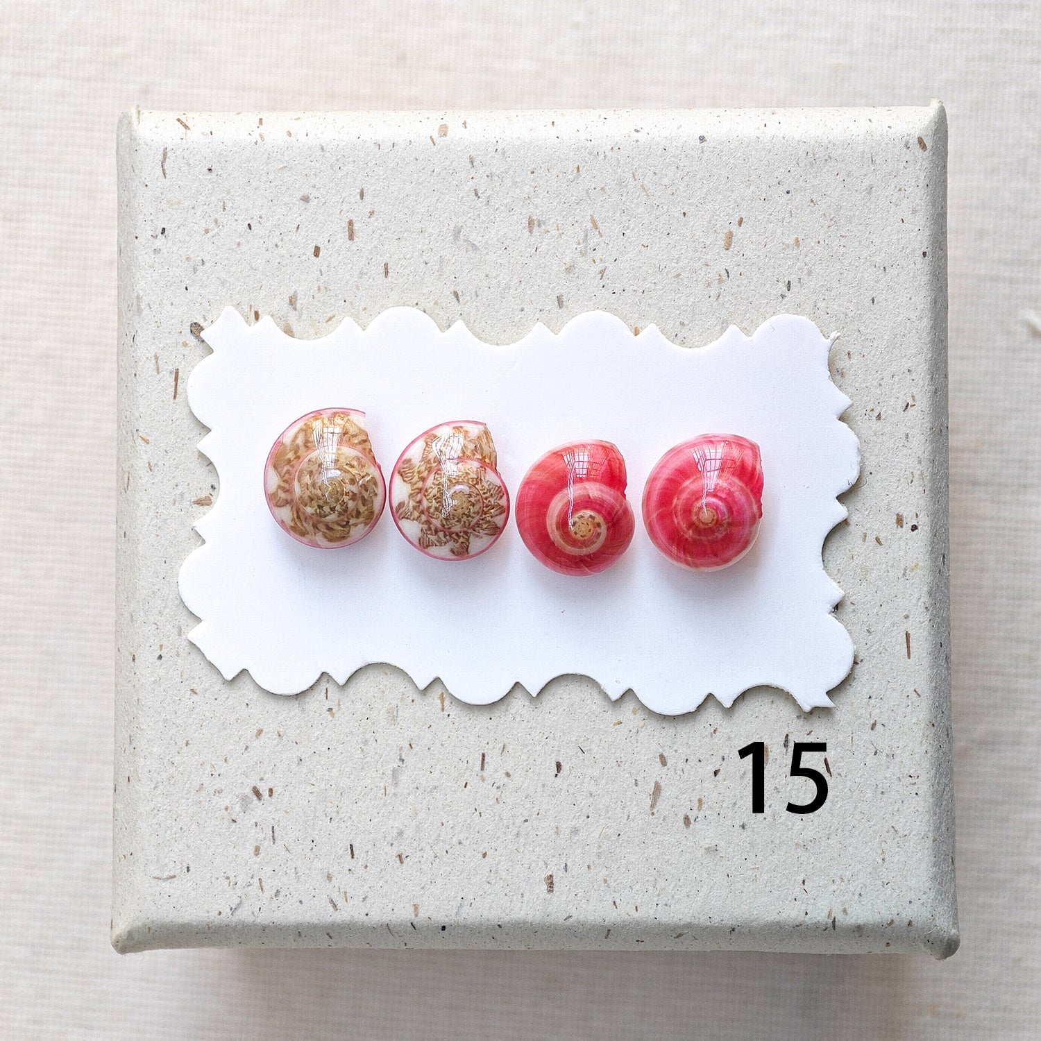 Rainbow Shell Earrings Set