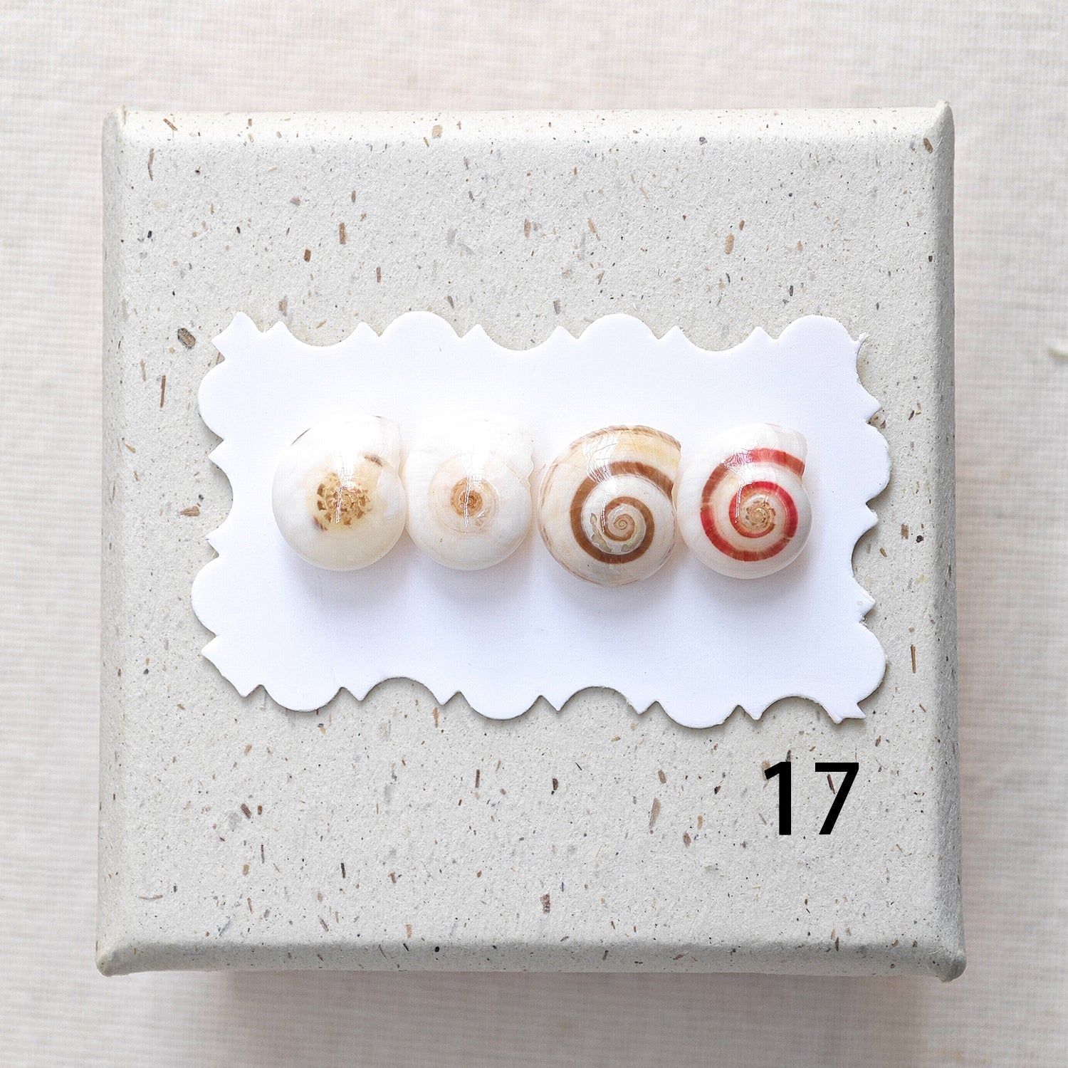 Rainbow Shell Earrings Set