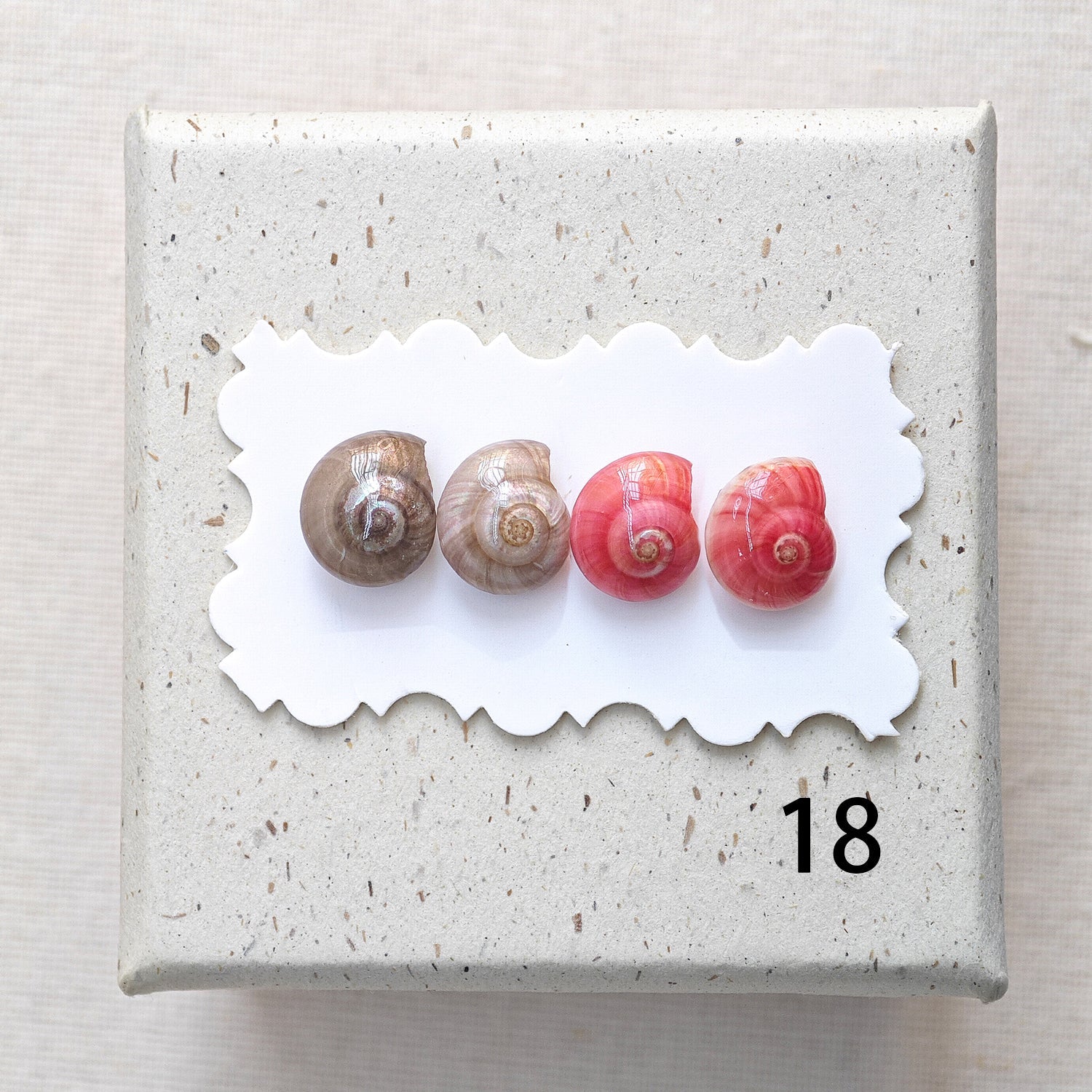 Rainbow Shell Earrings Set