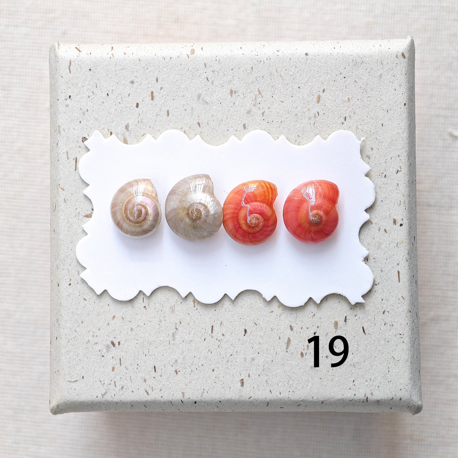 Rainbow Shell Earrings Set