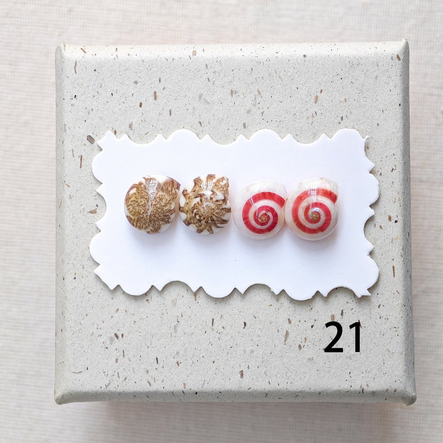 Rainbow Shell Earrings Set