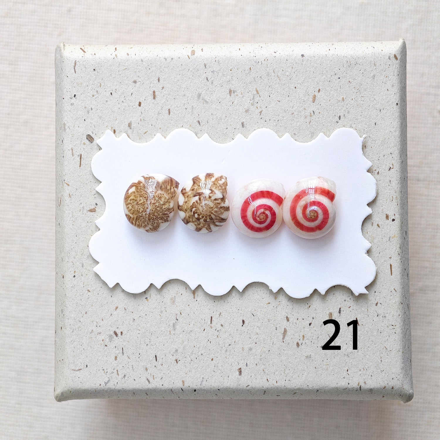 Rainbow Shell Earrings Set