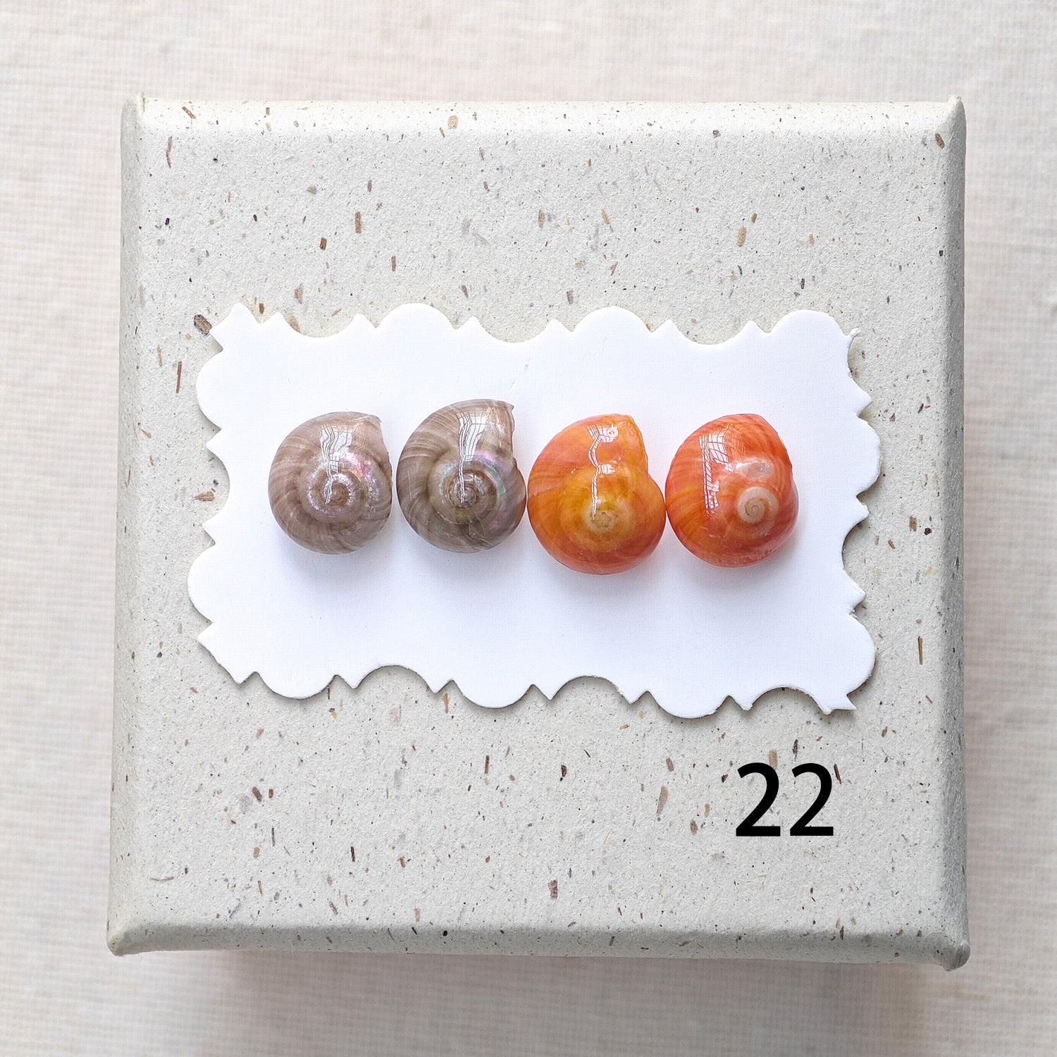 Rainbow Shell Earrings Set