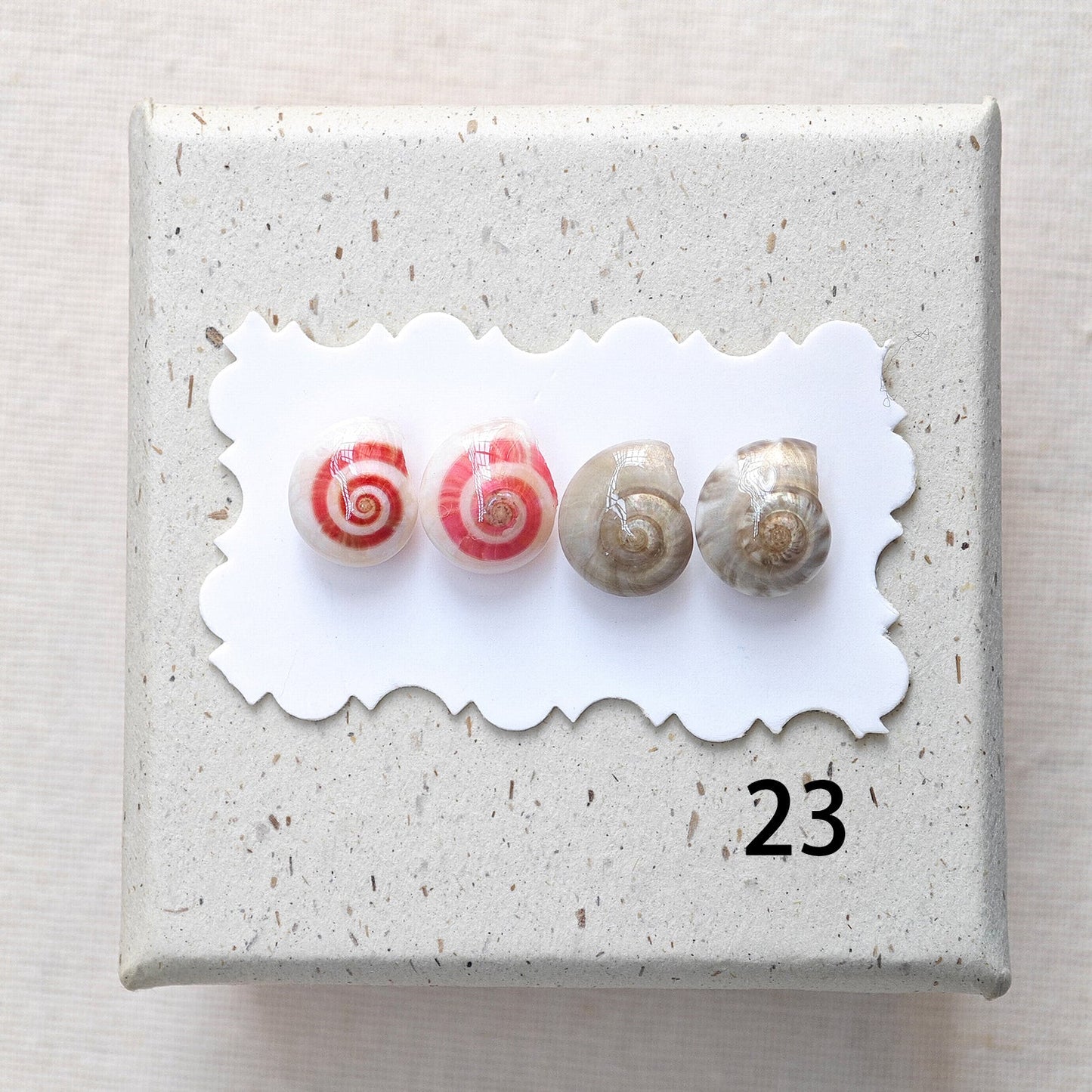 Rainbow Shell Earrings Set