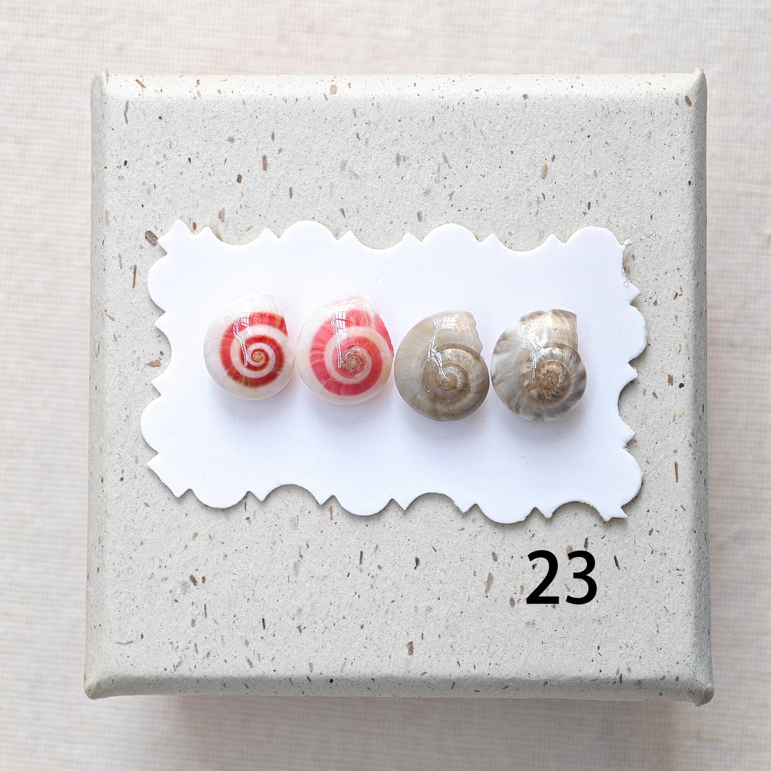 Rainbow Shell Earrings Set