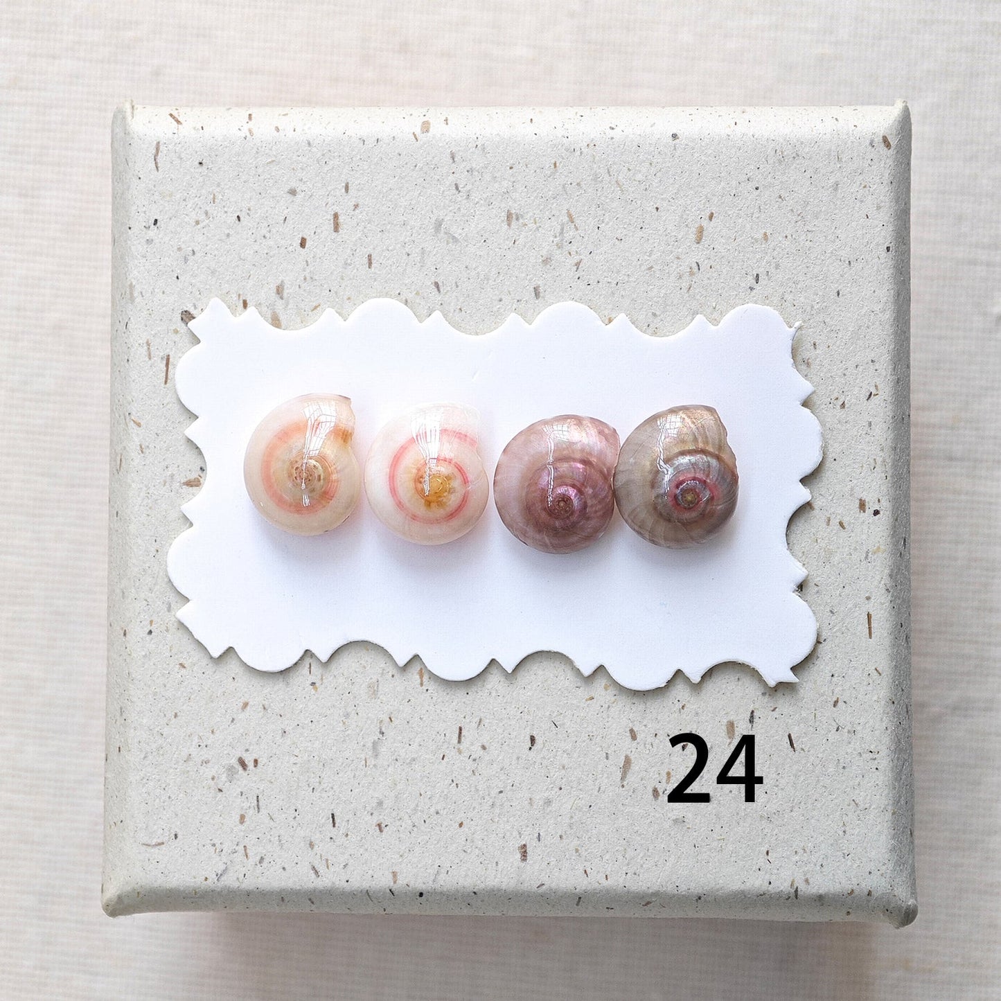 Rainbow Shell Earrings Set