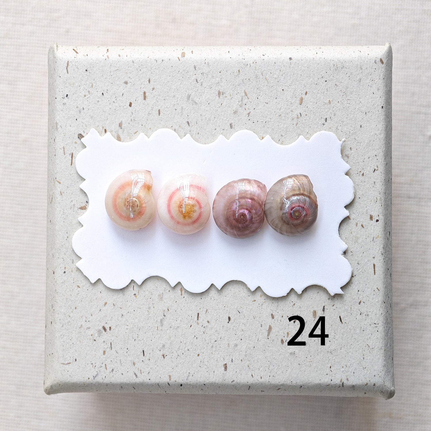 Rainbow Shell Earrings Set