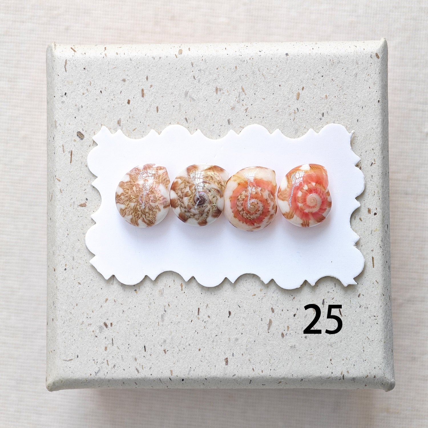 Rainbow Shell Earrings Set