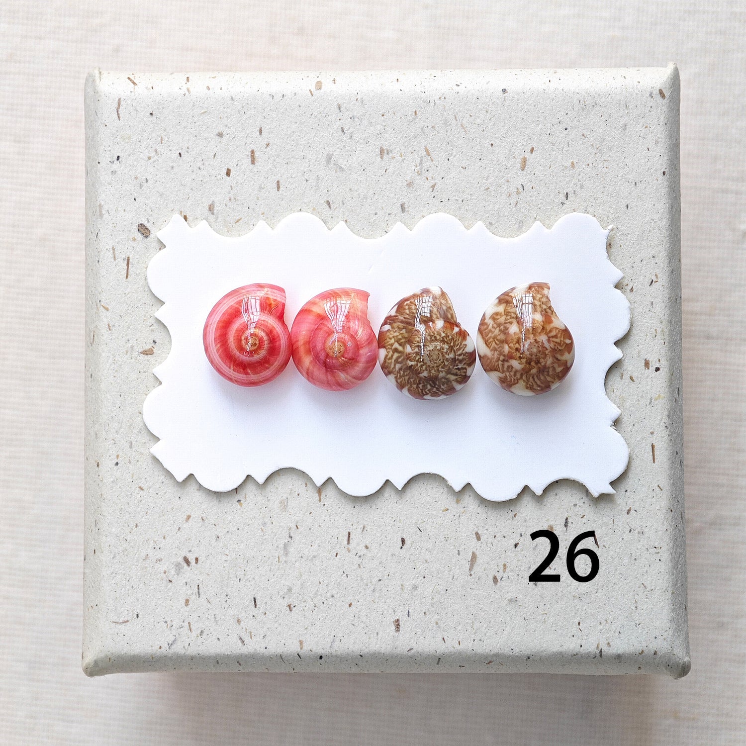 Rainbow Shell Earrings Set