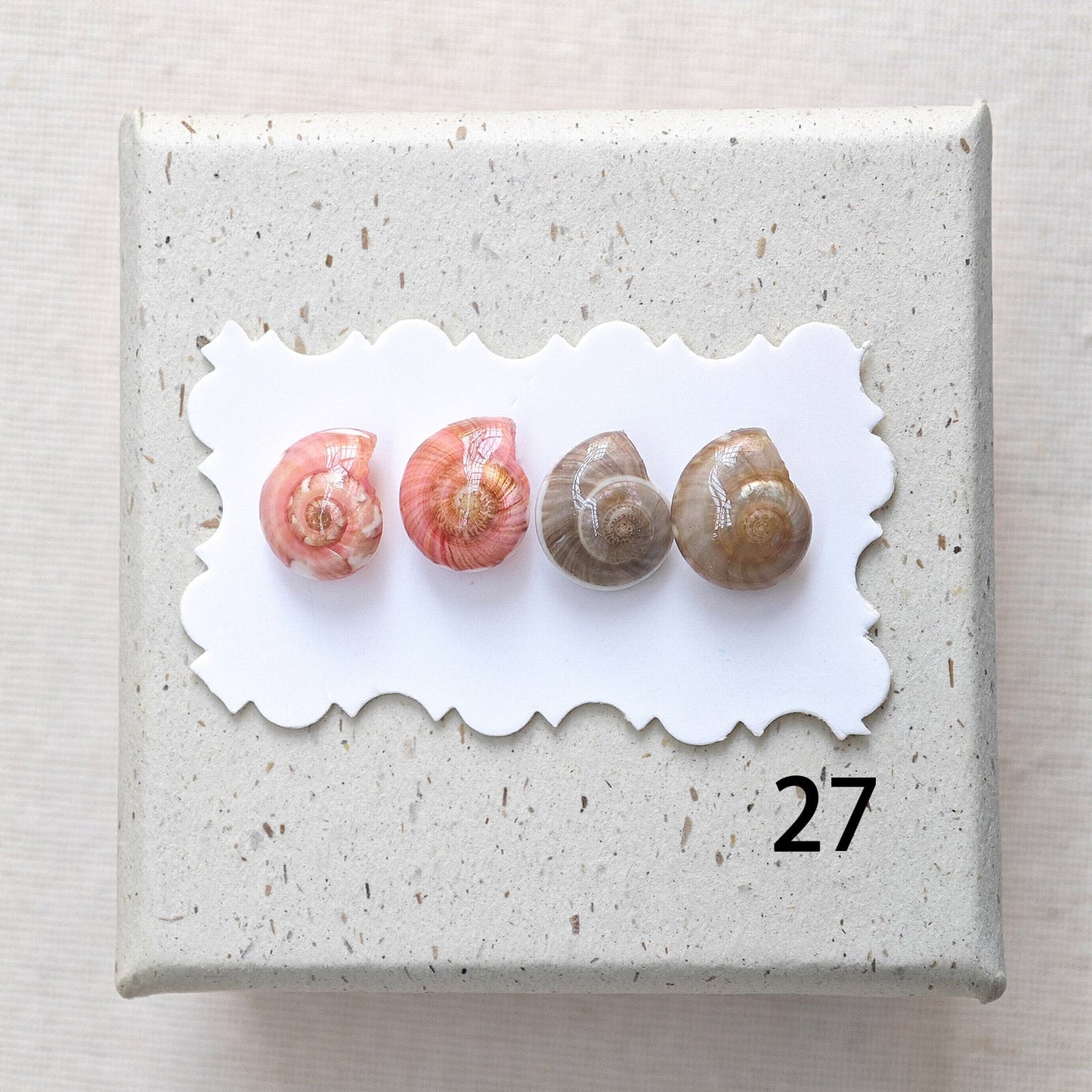 Rainbow Shell Earrings Set