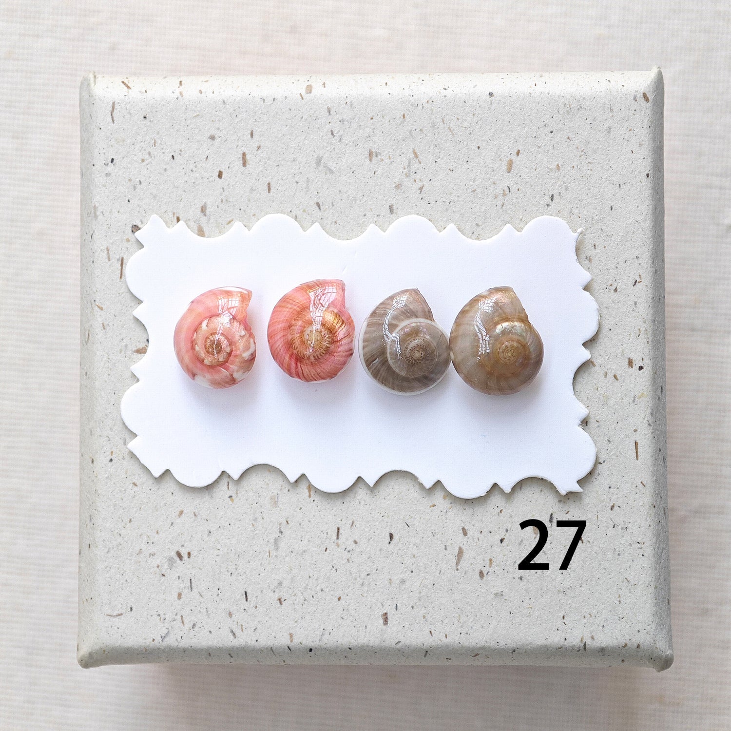 Rainbow Shell Earrings Set