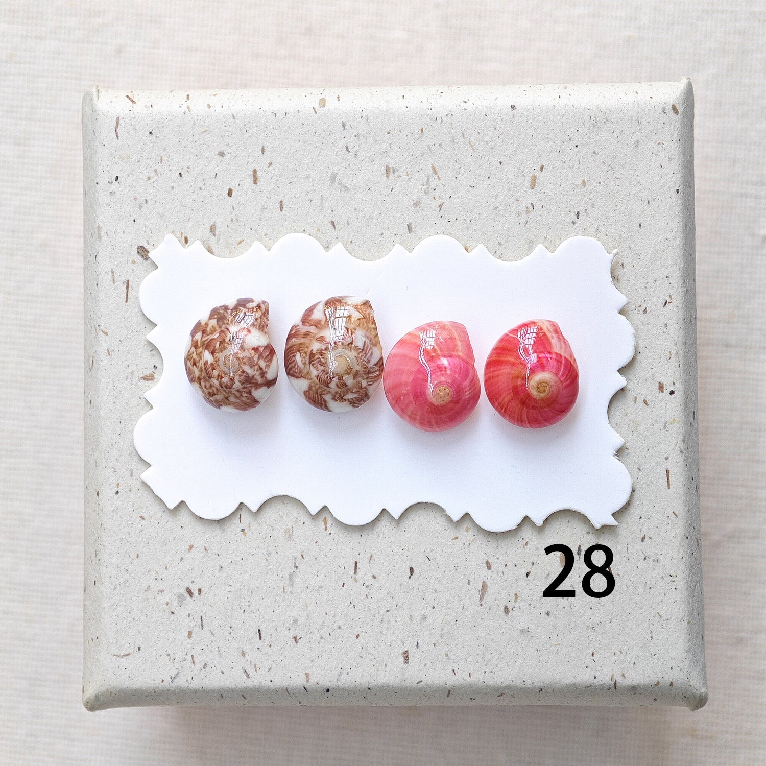 Rainbow Shell Earrings Set
