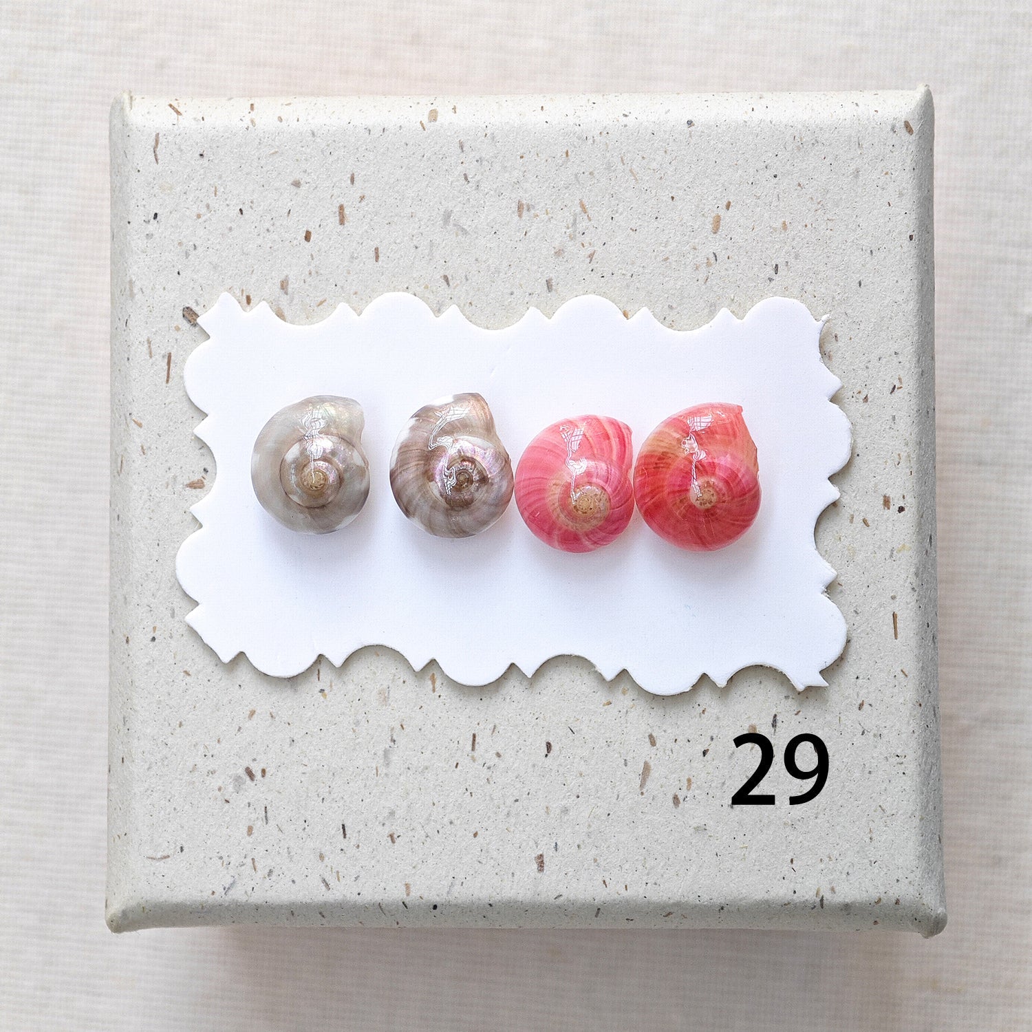Rainbow Shell Earrings Set
