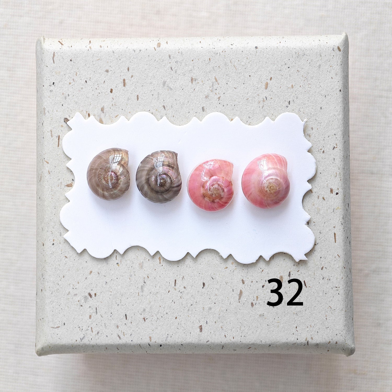 Rainbow Shell Earrings Set