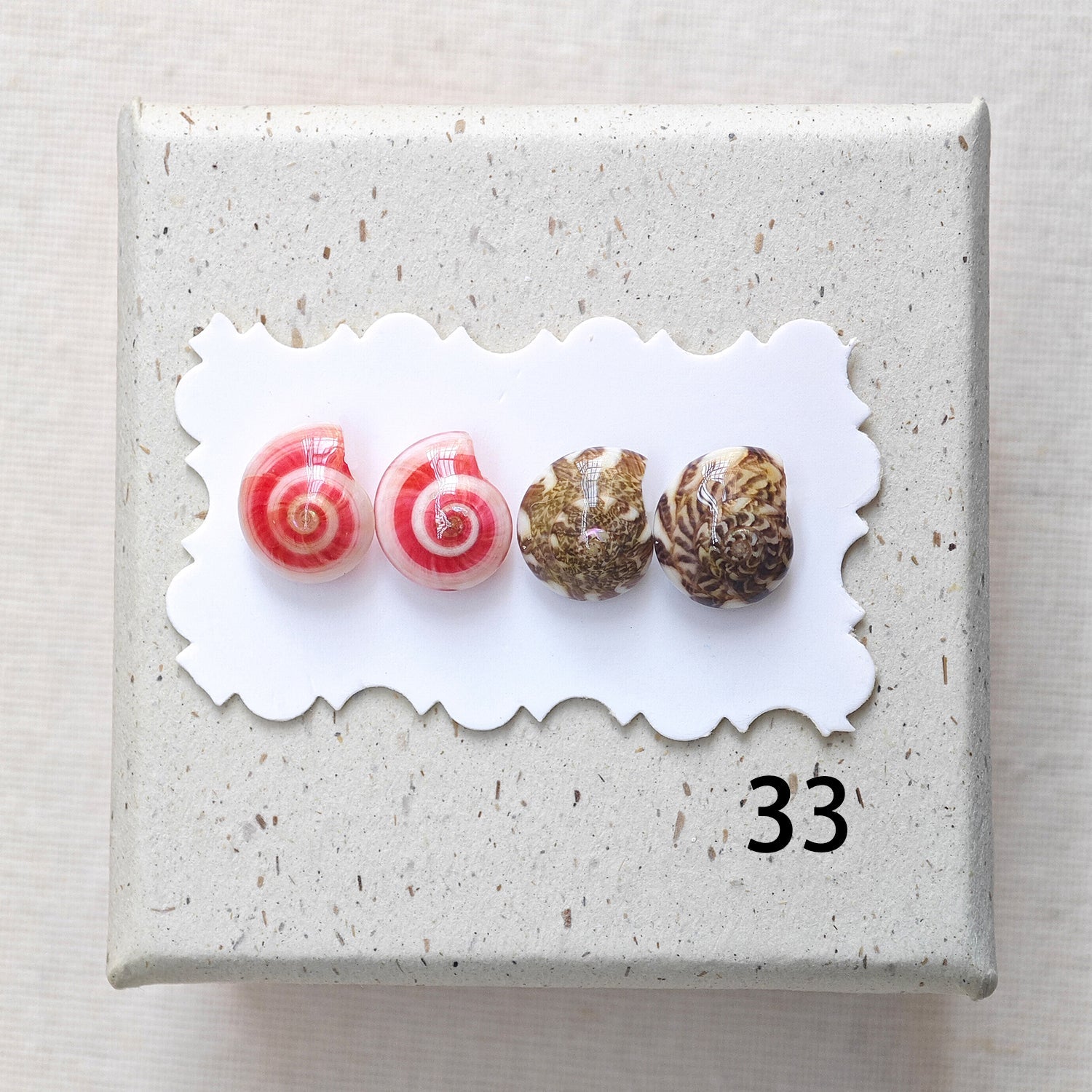Rainbow Shell Earrings Set