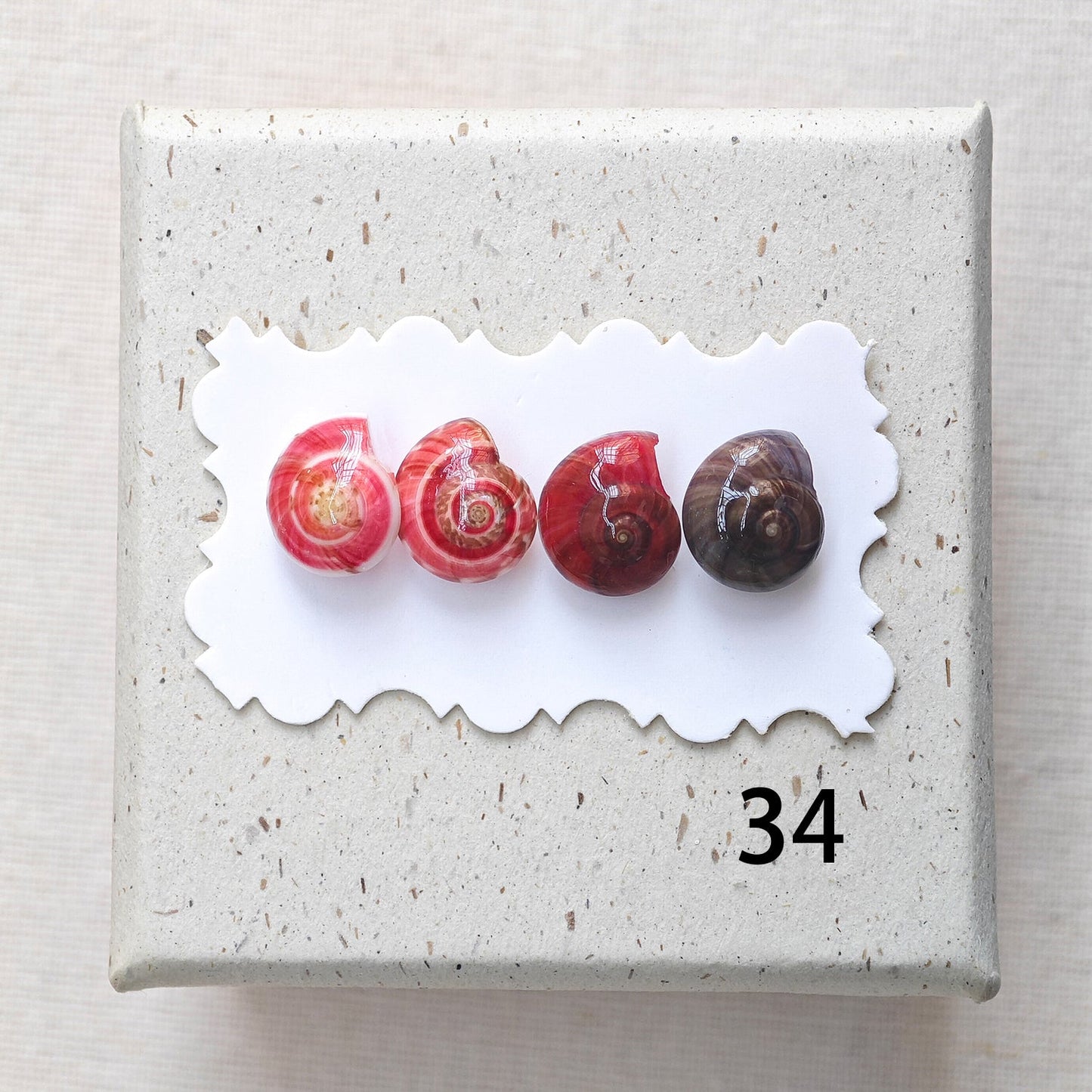 Rainbow Shell Earrings Set