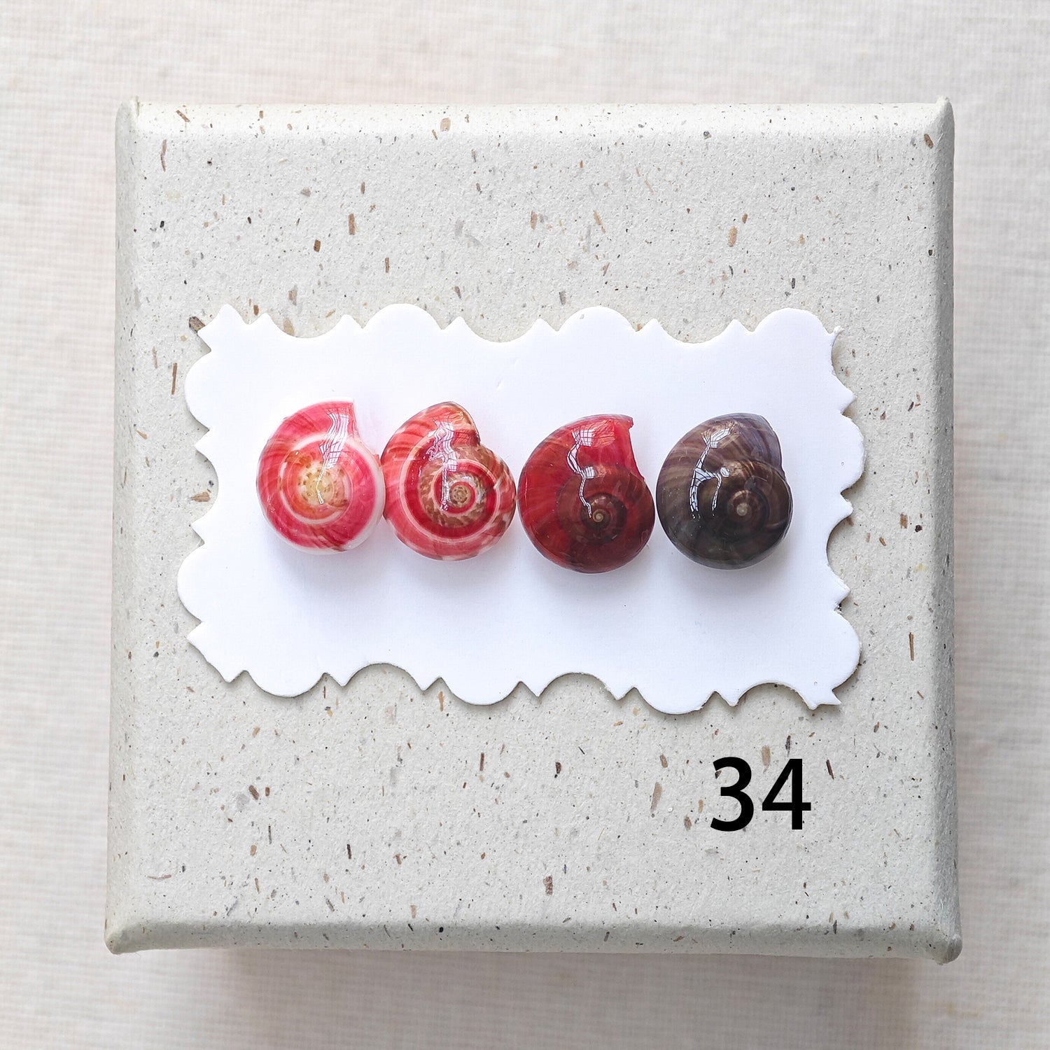Rainbow Shell Earrings Set
