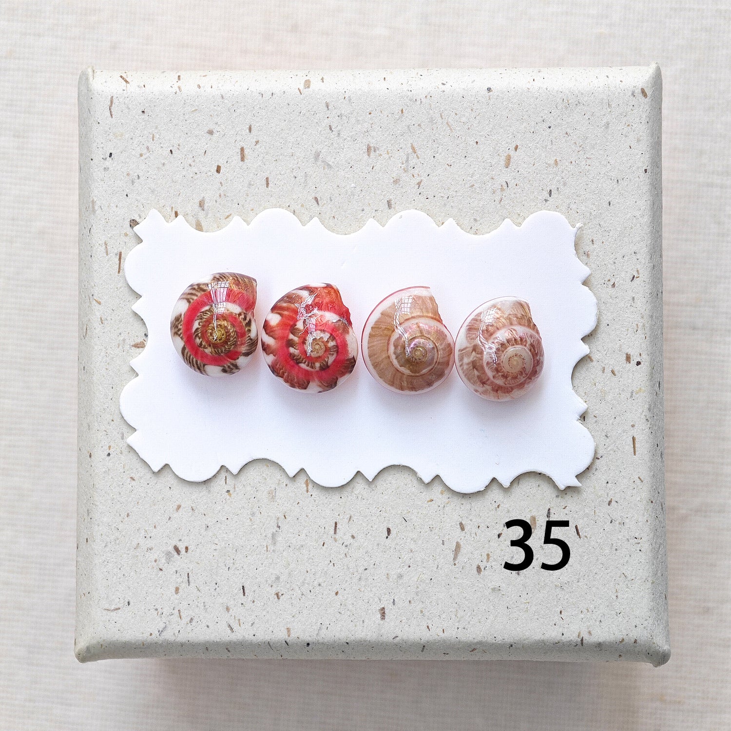 Rainbow Shell Earrings Set