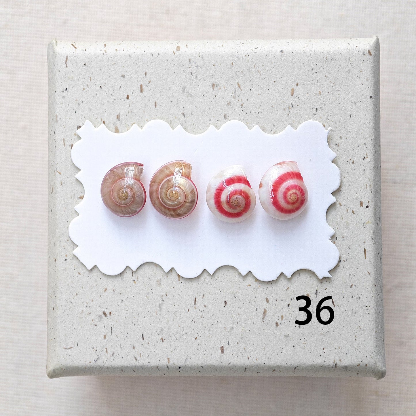 Rainbow Shell Earrings Set