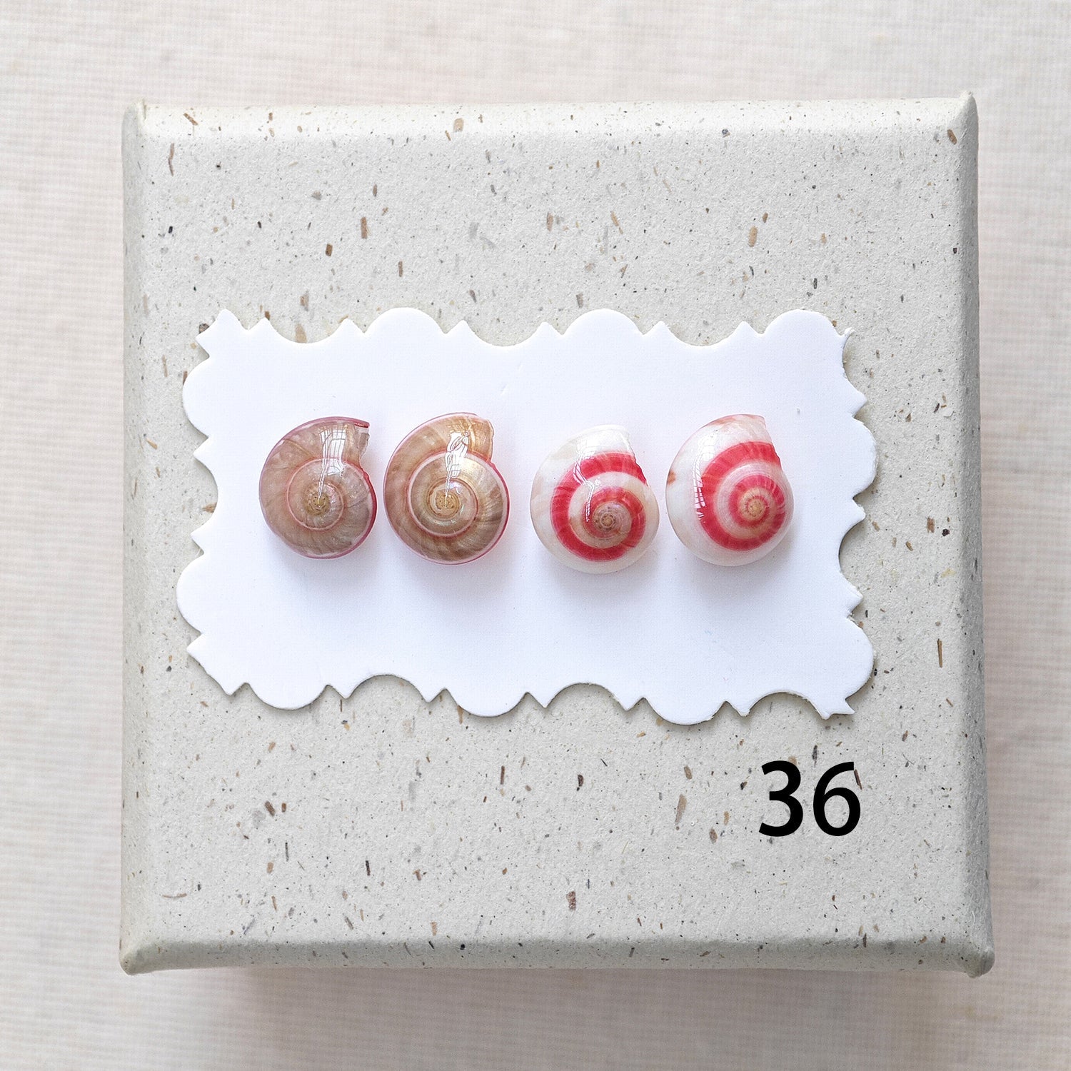 Rainbow Shell Earrings Set