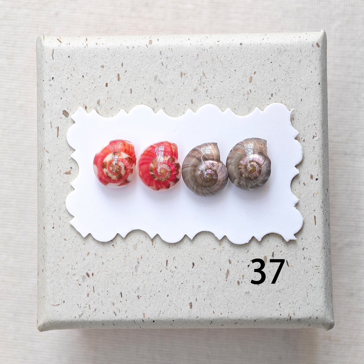 Rainbow Shell Earrings Set