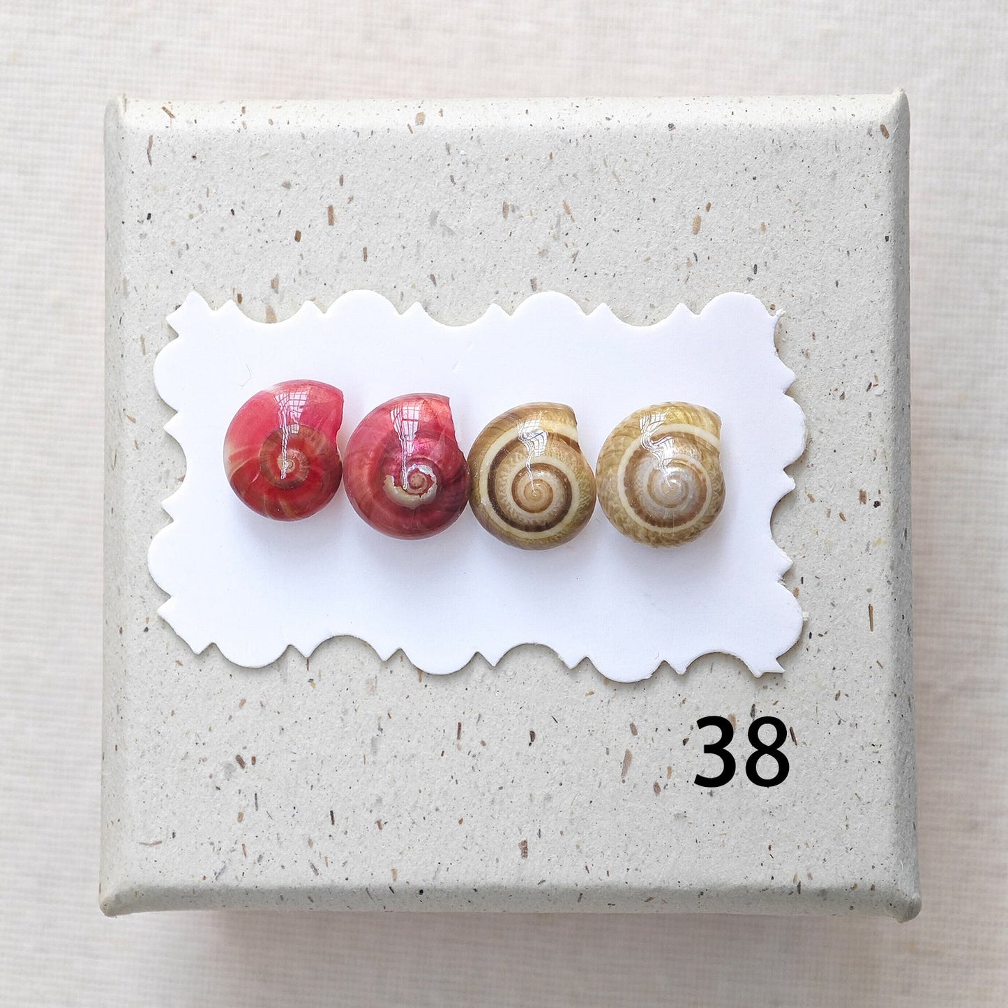 Rainbow Shell Earrings Set