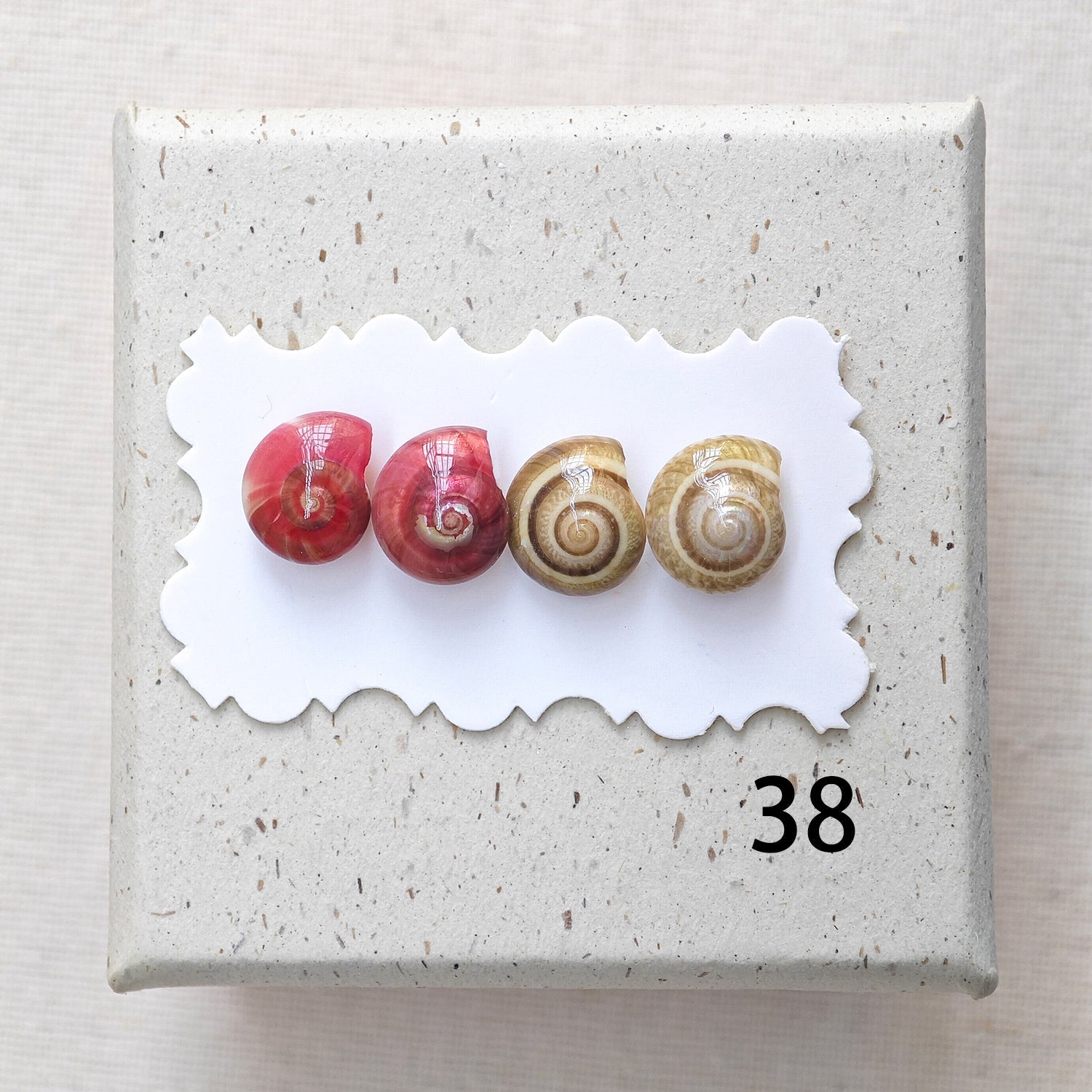 Rainbow Shell Earrings Set