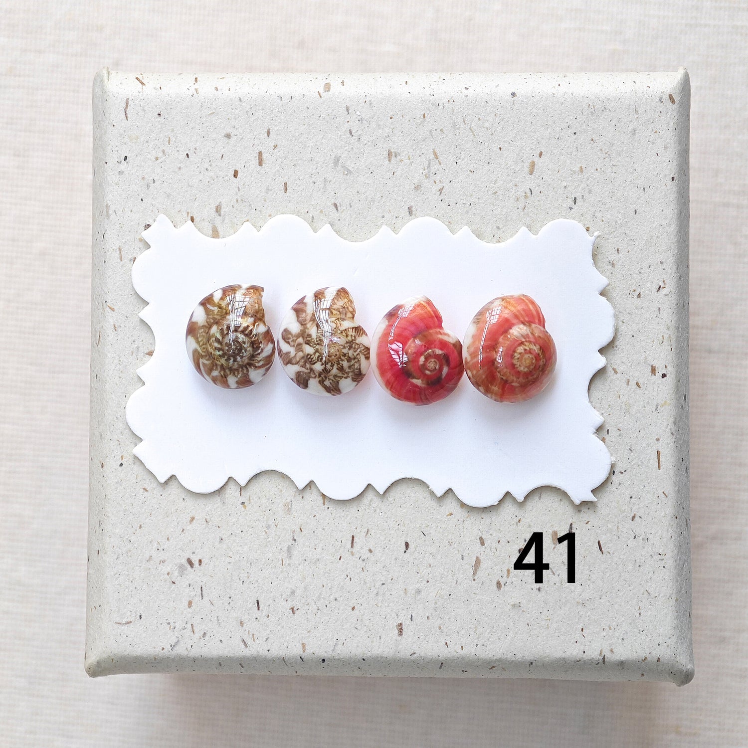 Rainbow Shell Earrings Set