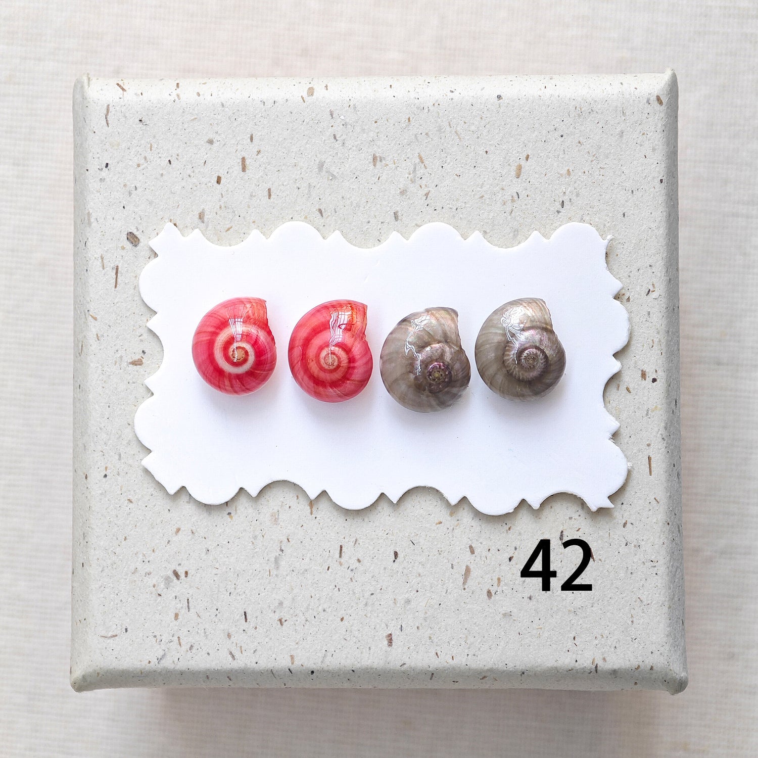 Rainbow Shell Earrings Set