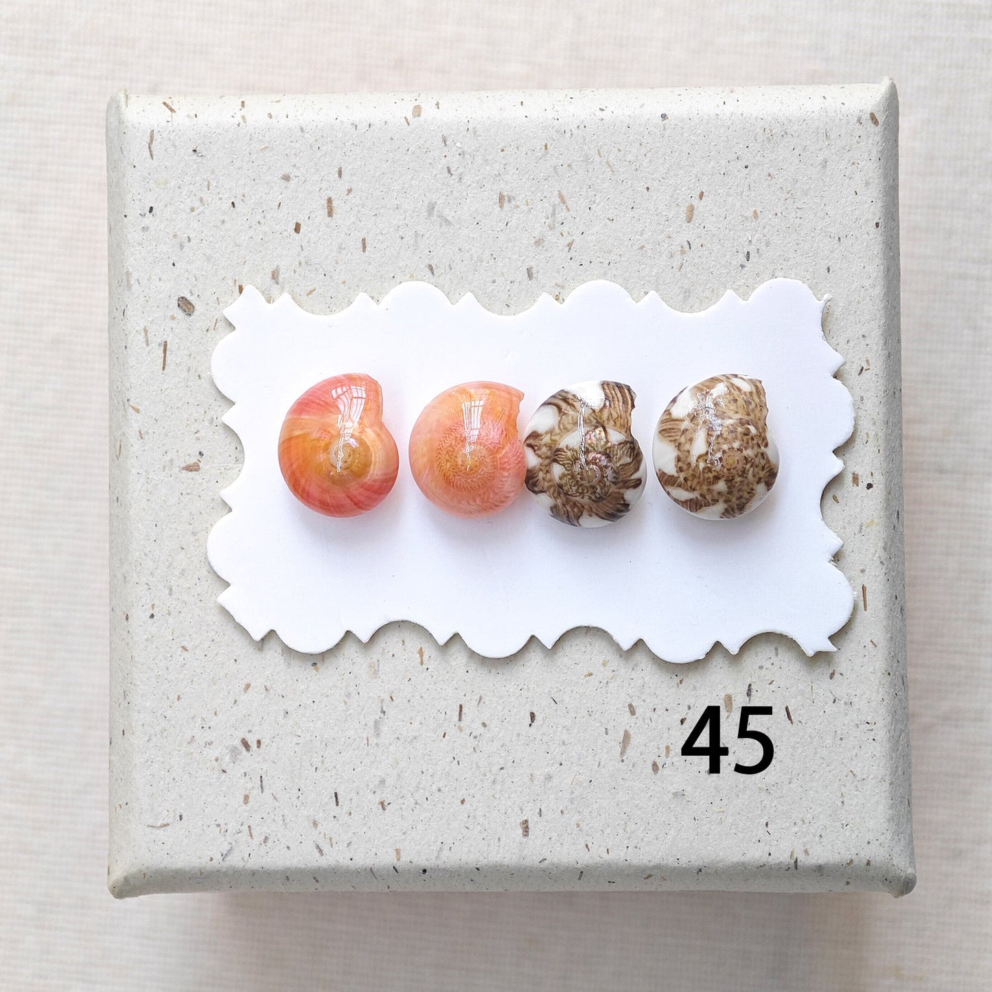 Rainbow Shell Earrings Set
