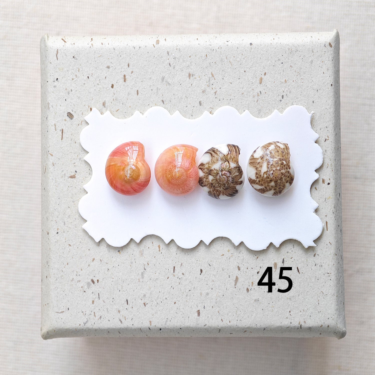 Rainbow Shell Earrings Set